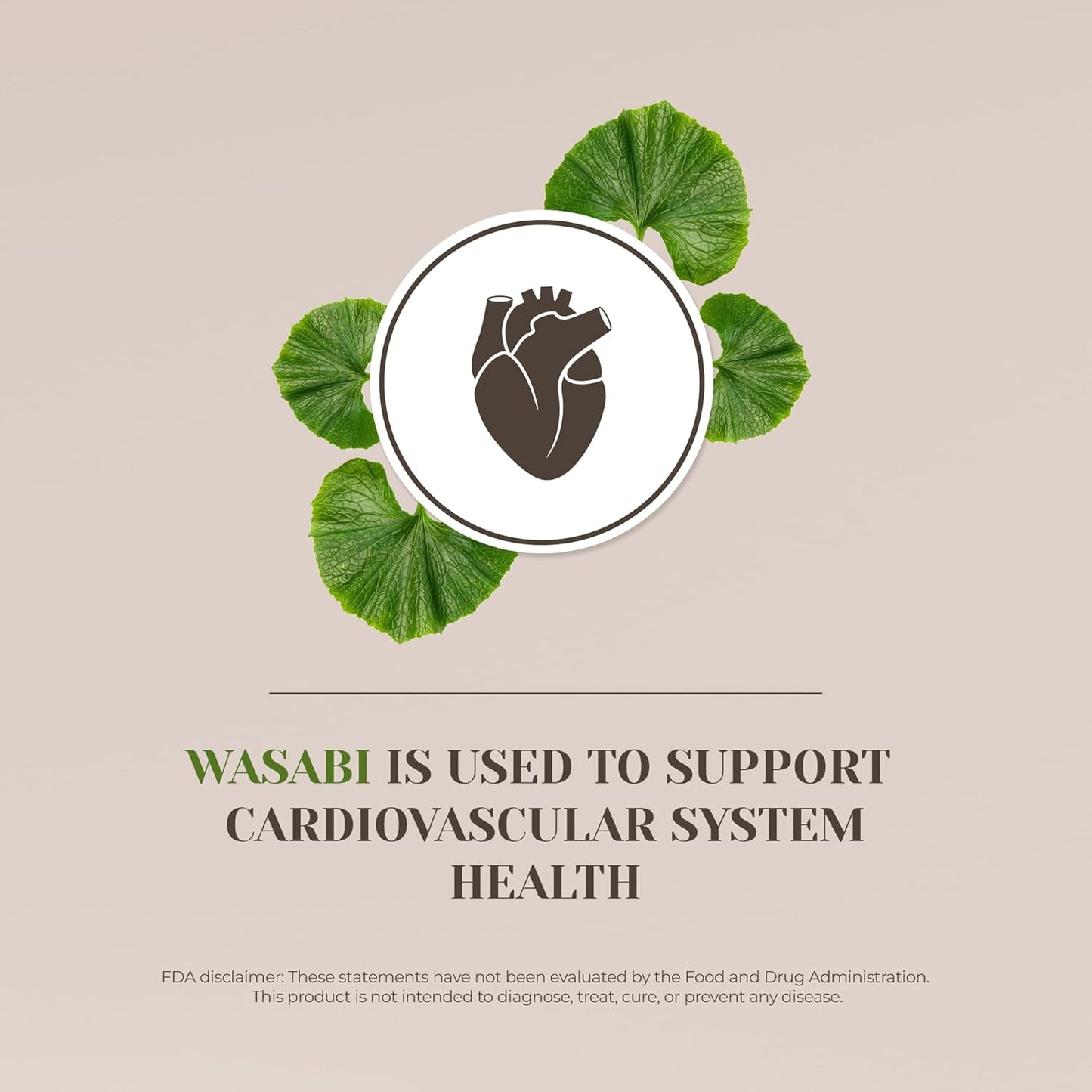 100% Wasabi Alcohol-Free Tincture Extract for Immune System & Memory, Liquid Drops (2 oz)