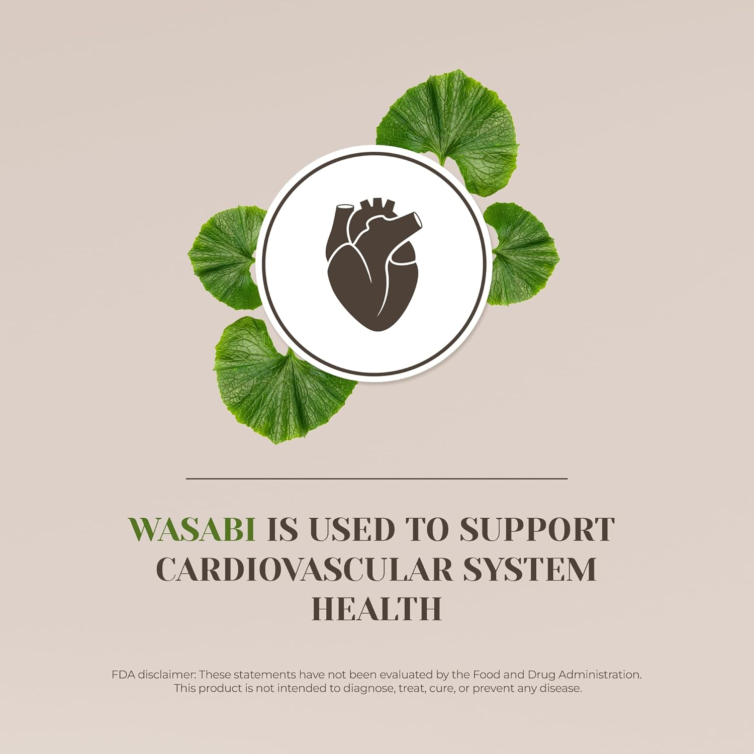 100% Wasabi Alcohol-Free Tincture Extract for Immune System & Memory, Liquid Drops (2 oz)