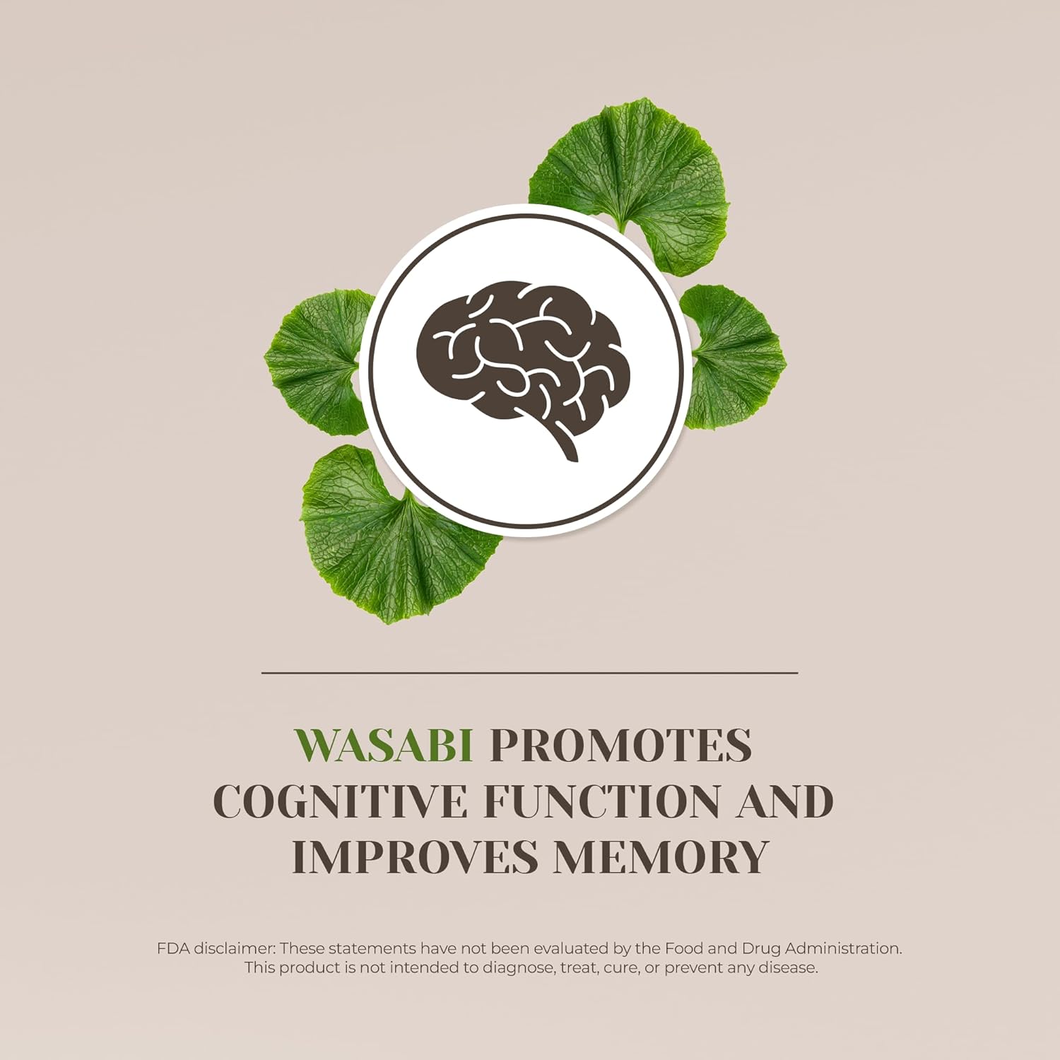 100% Wasabi Alcohol-Free Tincture Extract for Immune System & Memory, Liquid Drops (2 oz)