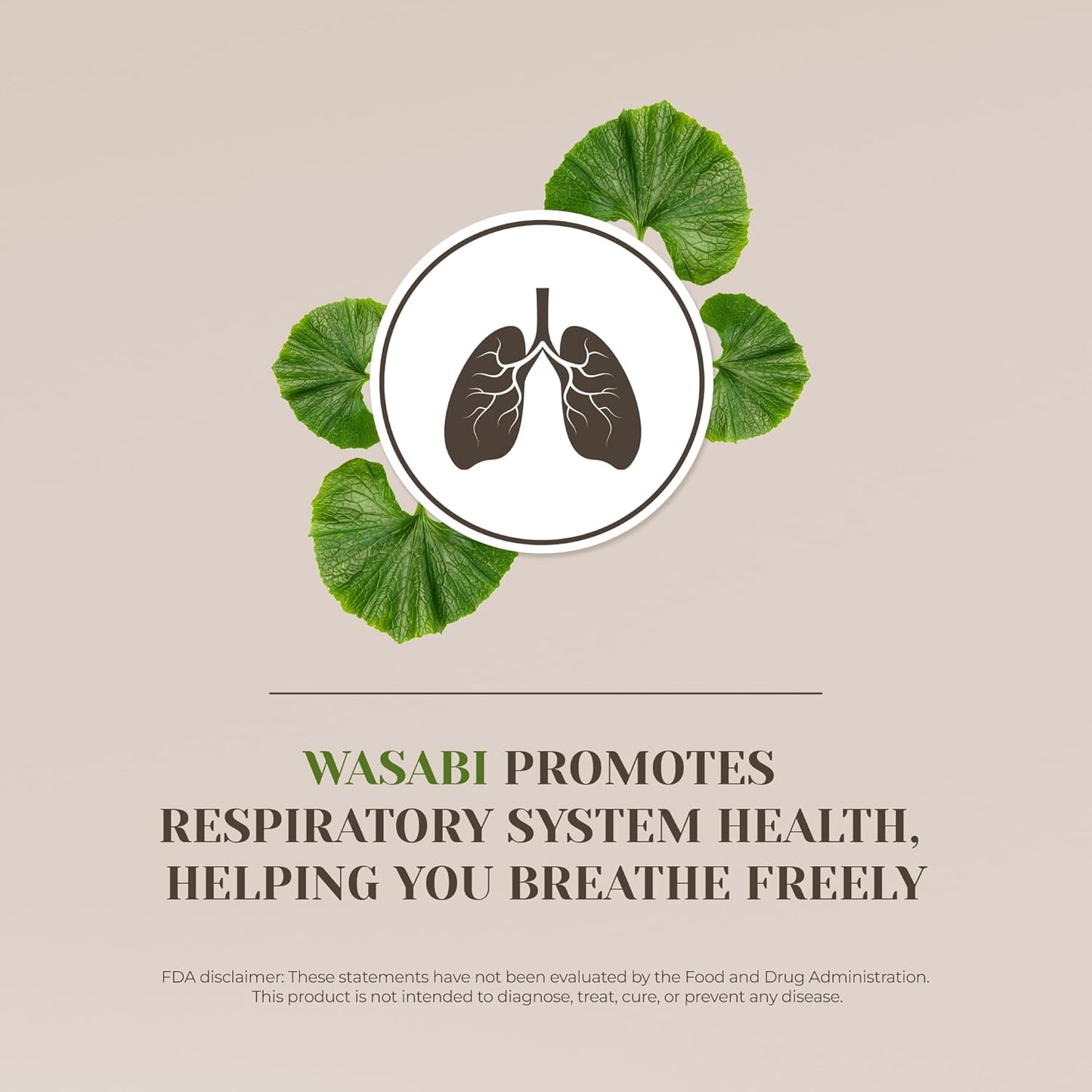 100% Wasabi Alcohol-Free Tincture Extract for Immune System & Memory, Liquid Drops (2 oz)