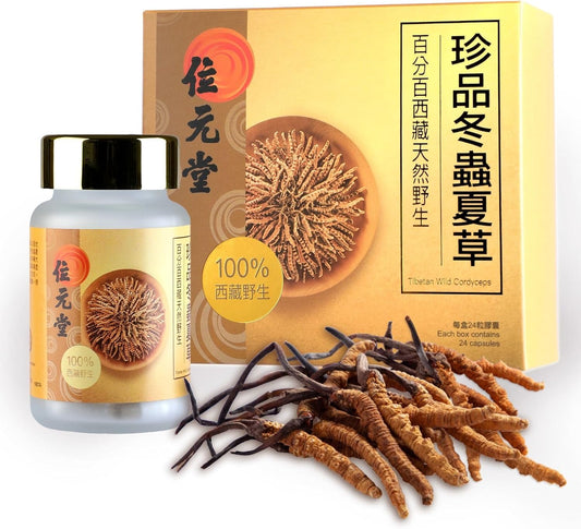 100% Wild Tibetan Cordyceps Capsules - Natural Energy Boost and Respiratory Vitality - 24 Capsules