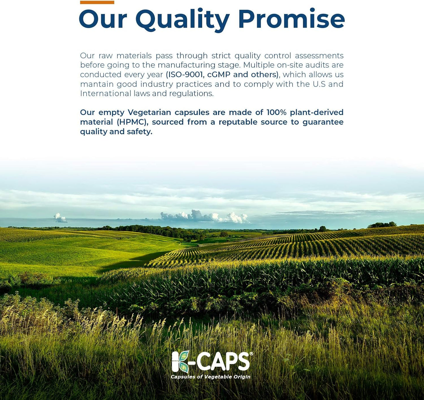 1000 Count Capsuline Size 0 White Empty Vegan Capsules - DIY Vegetable Capsule Filling - Kosher, Halal, Non-GMO