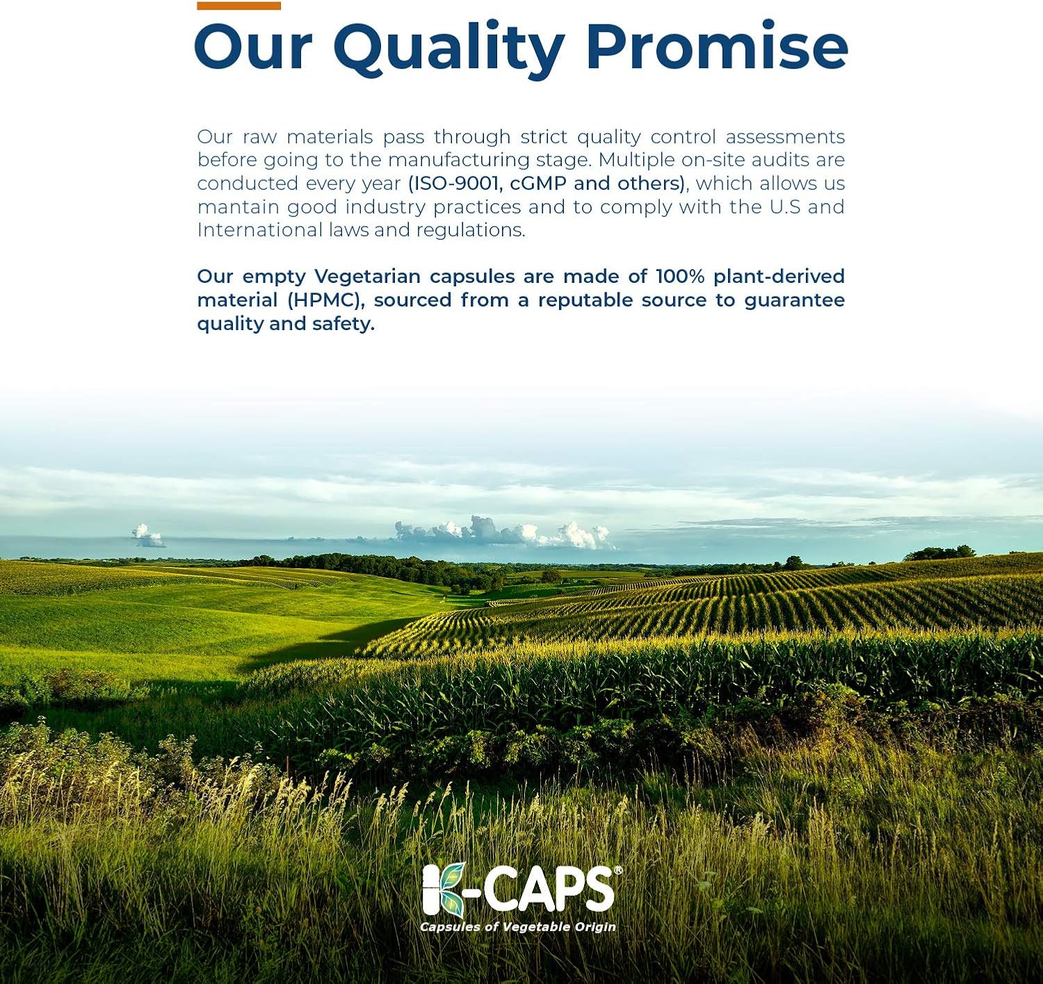 1000 Count Capsuline Size 0 White Empty Vegan Capsules - DIY Vegetable Capsule Filling - Kosher, Halal, Non-GMO