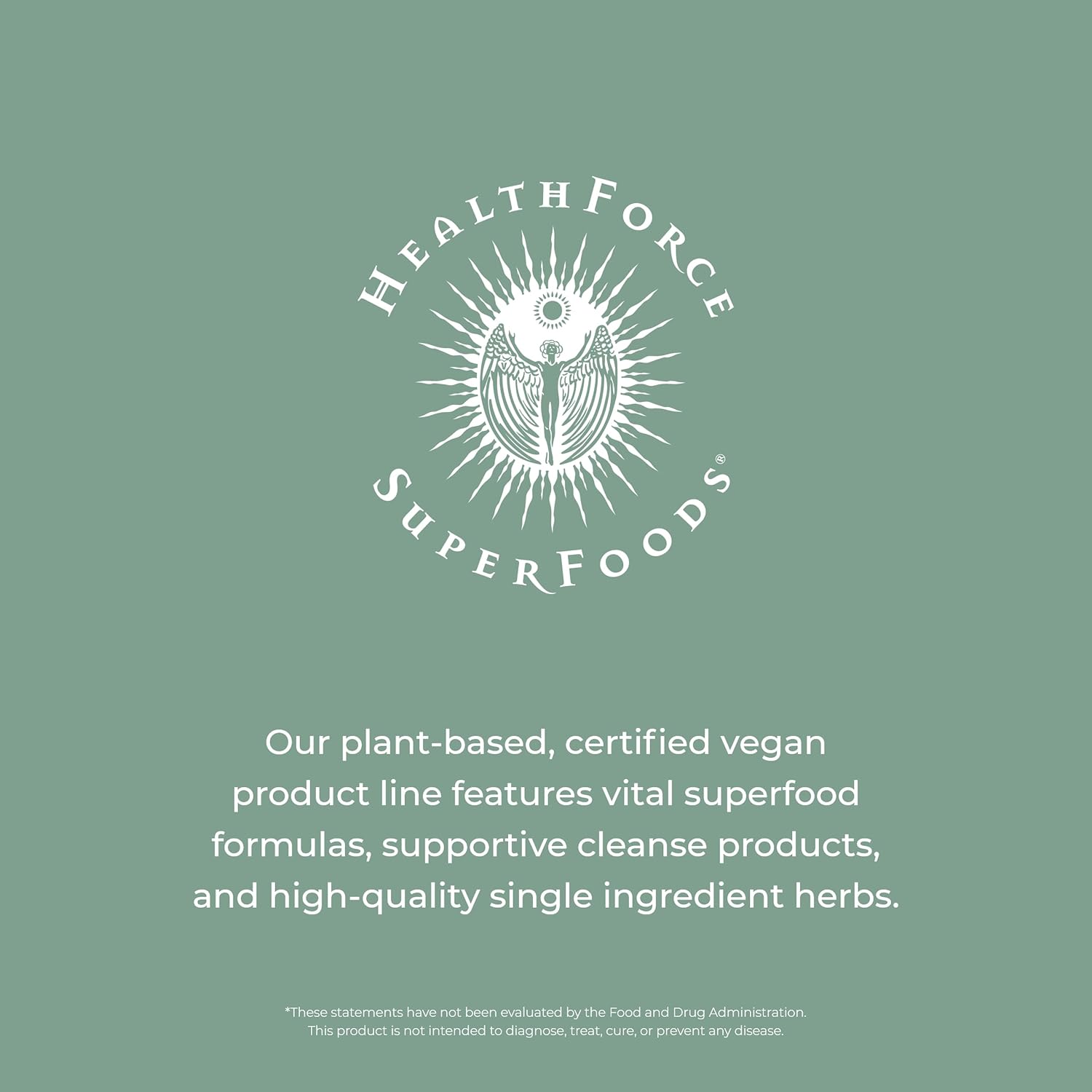 1000 Grams HealthForce SuperFoods Warrior Protein Powder - Natural Flavor