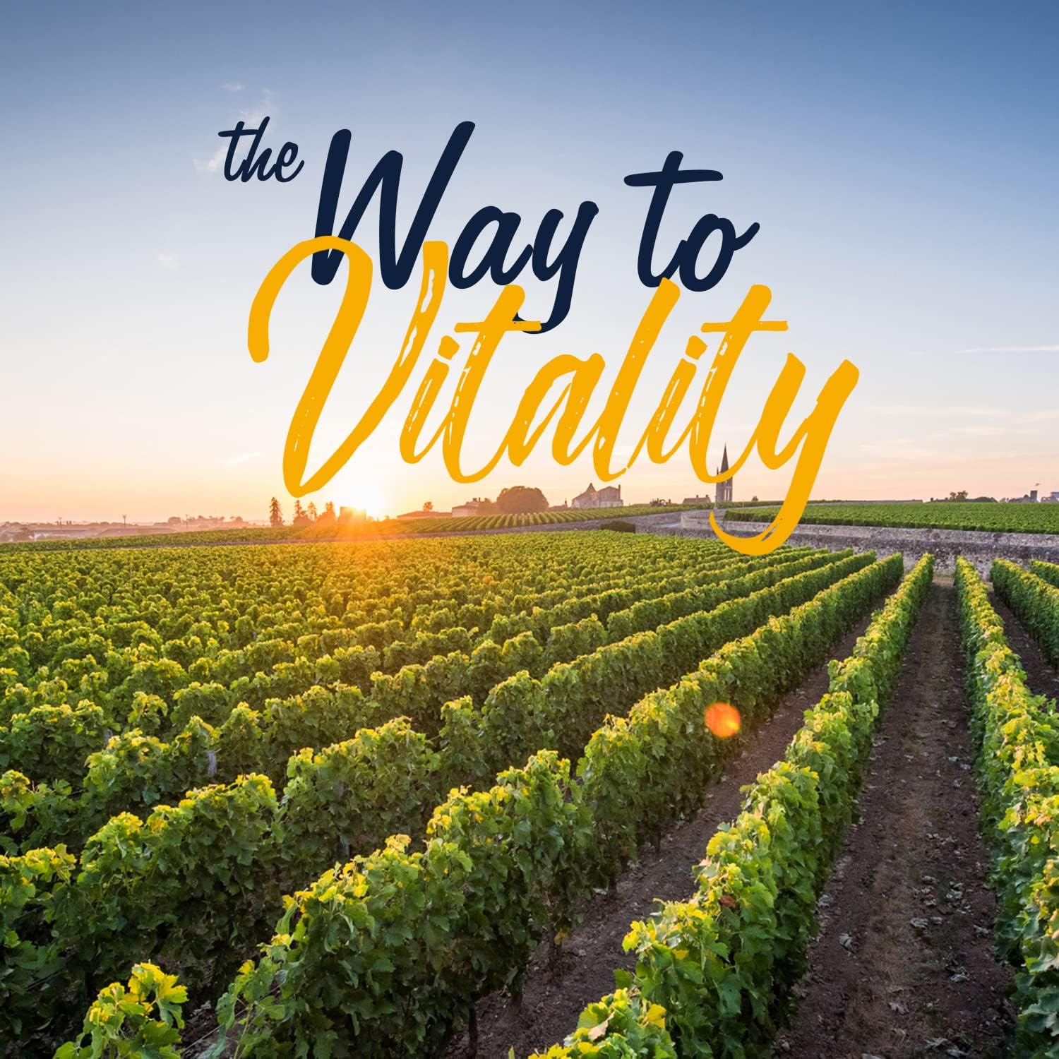 1000mg Antarctic Krill Oil Softgels with Omega-3 EPA, DHA, Astaxanthin - Brain, Heart, Eye Health Support - No Fishy Odor