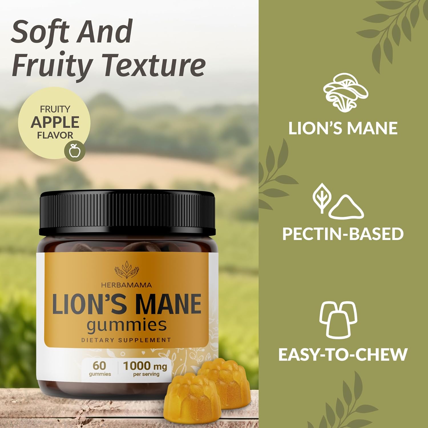 1000mg L-Tyrosine and Lion's Mane Gummies Bundle - Vegan & Non-GMO - 2 Pack