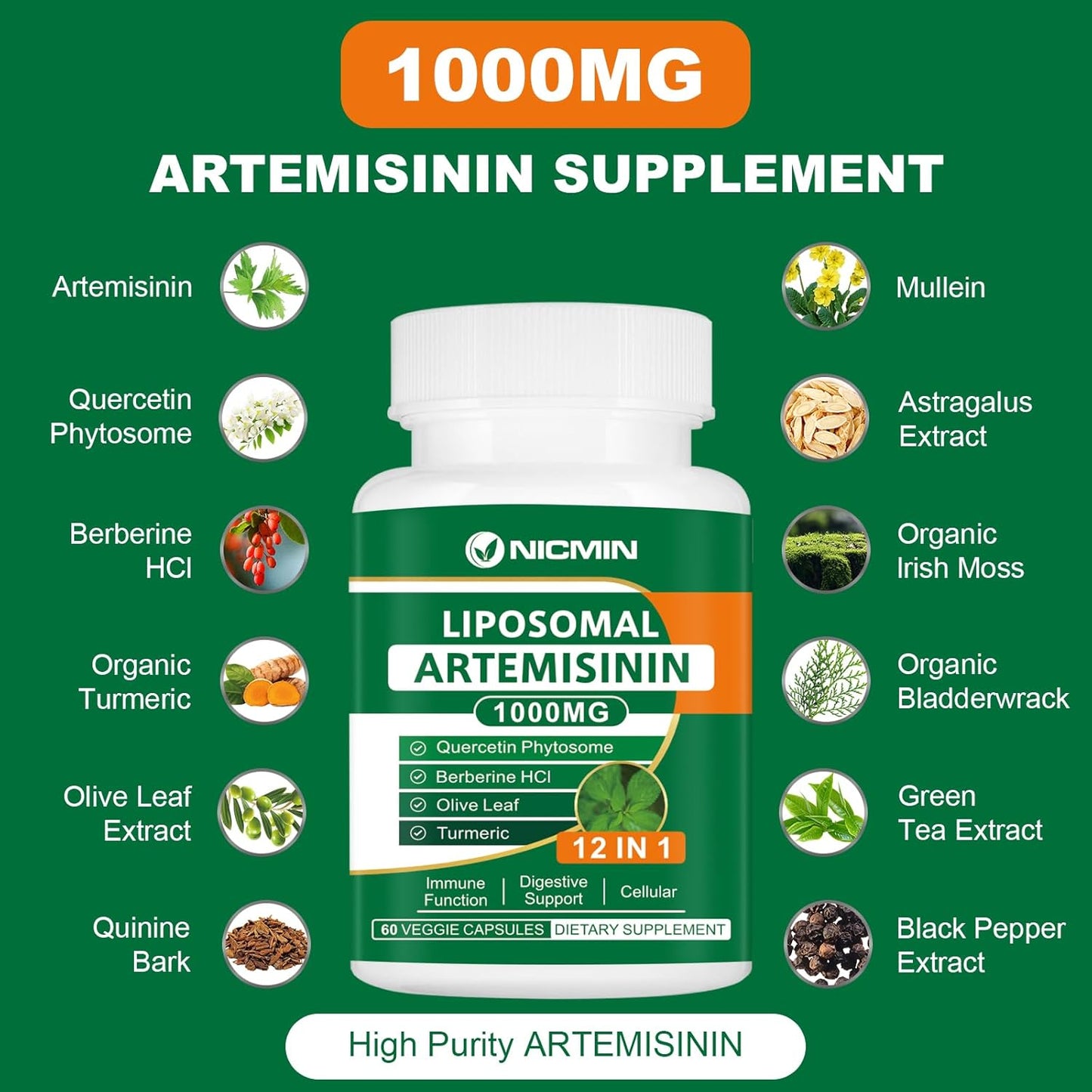 1000mg Liposomal Artemisinin Supplement with Quercetin Phytosome for Maximum Antioxidant Absorption - 180 Capsules