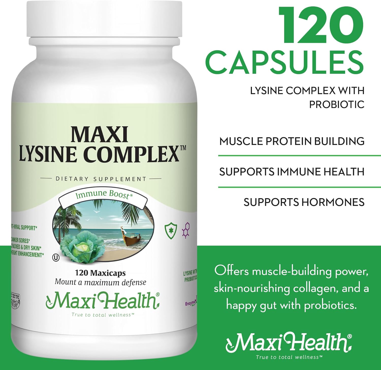 1000mg Lysine Supplement with Probiotics for Immune Health and Protein Synthesis - L-Lysine Complex Capsules from Lysine HCl - Maxi Health