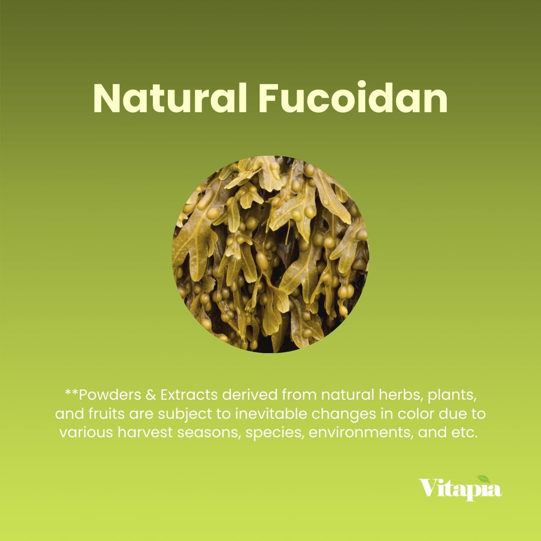 1000mg Pure Fucoidan Brown Seaweed Extract Capsules for Immune & Cellular Health - 120 Vegan Capsules - Non-GMO & Gluten-Free