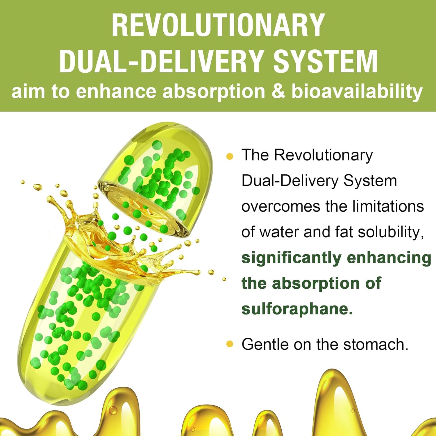 1000mg Rosmolo Liposomal Palmitoylethanolamide + 800mg Dual-Delivery Liposomal Sulforaphane for Enhanced Absorption