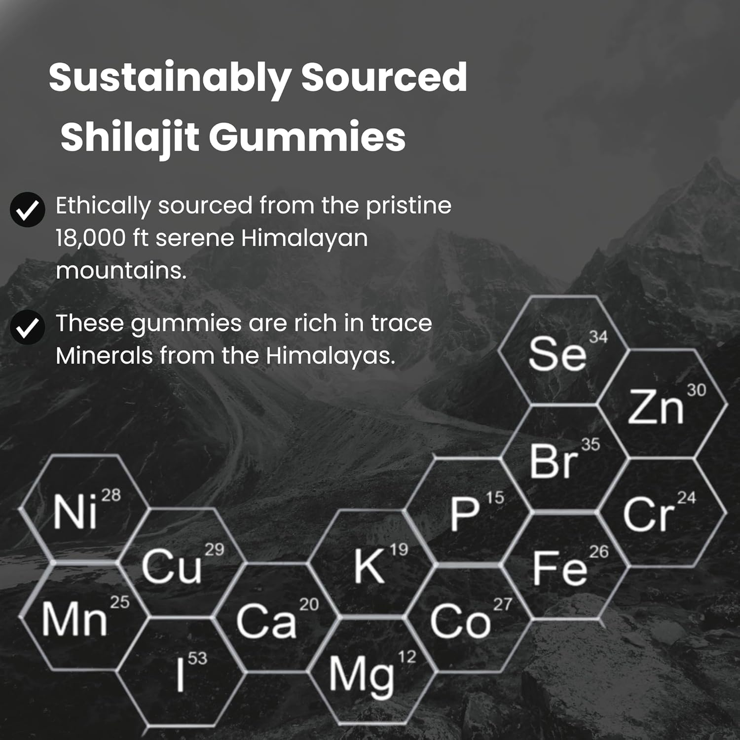 1000mg Sugar Free Shilajit Resin Gummies for Men & Women | Immunity, Energy, Vitality & Brain Support | 85+ Trace Minerals | Natural Raspberry Flavor - 60 Count