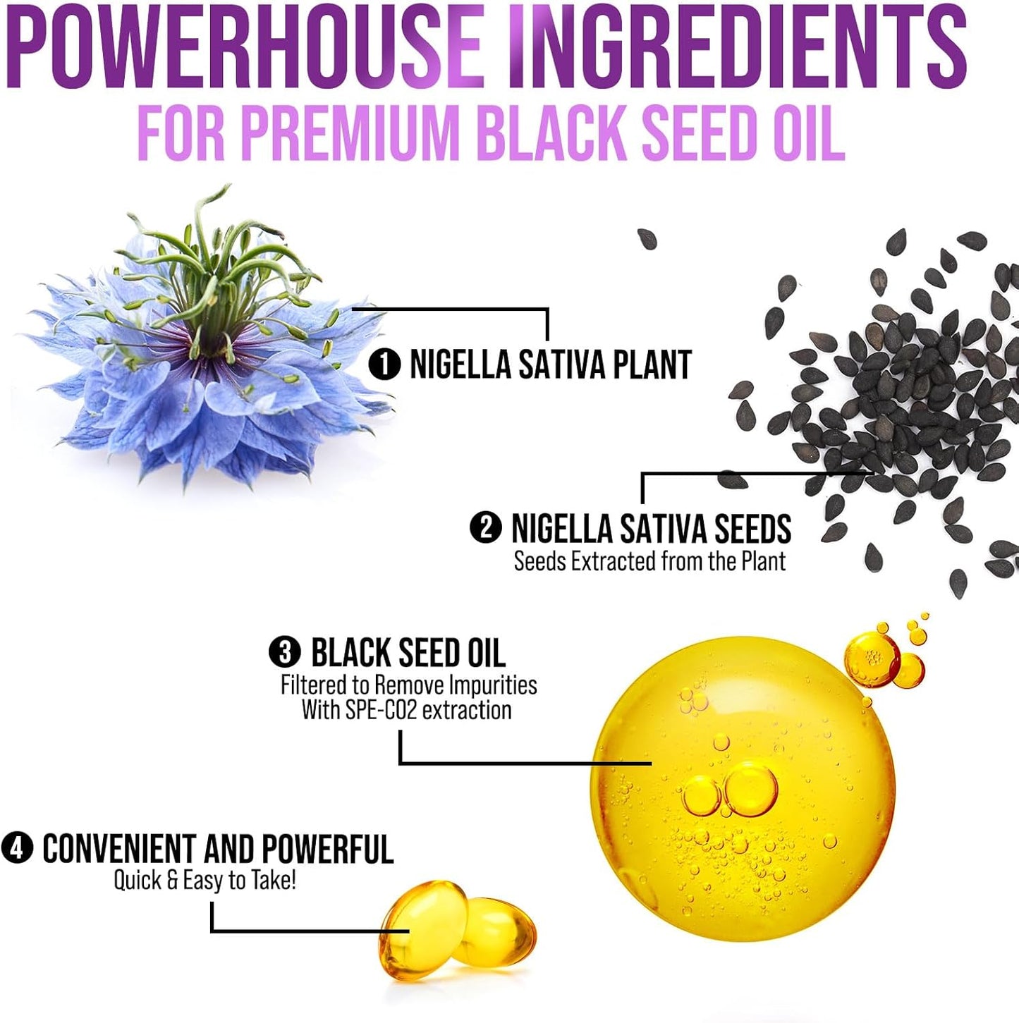 1000mg Vegan Black Seed Oil Capsules for Skin & Immune Support - Pure Nigella Sativa Extract - 60 Softgels