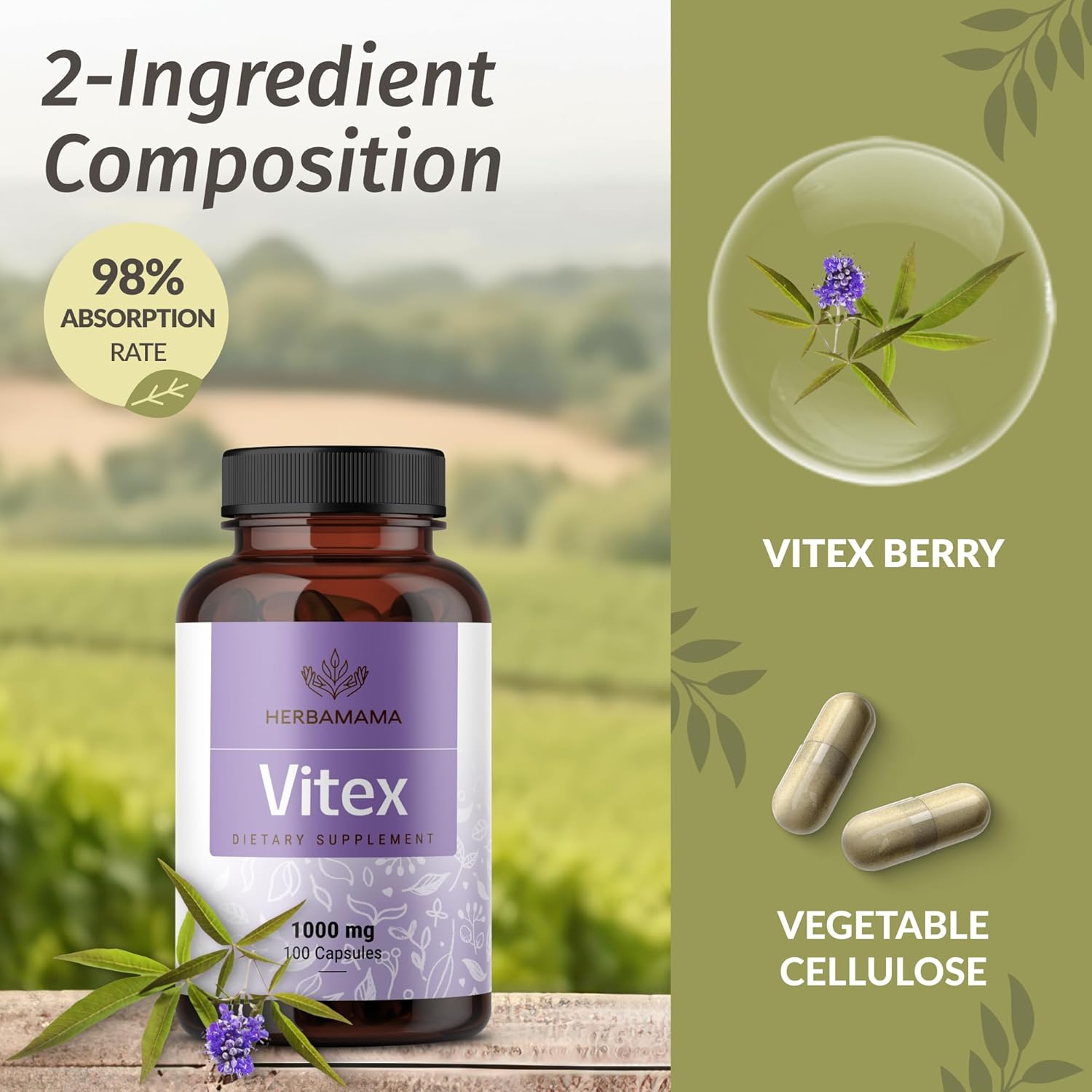 1000mg Vitex Chasteberry Capsules for Women - Vegan Women's Support Supplement - Non-GMO Chaste Tree Berry Powder - 100 Capsules