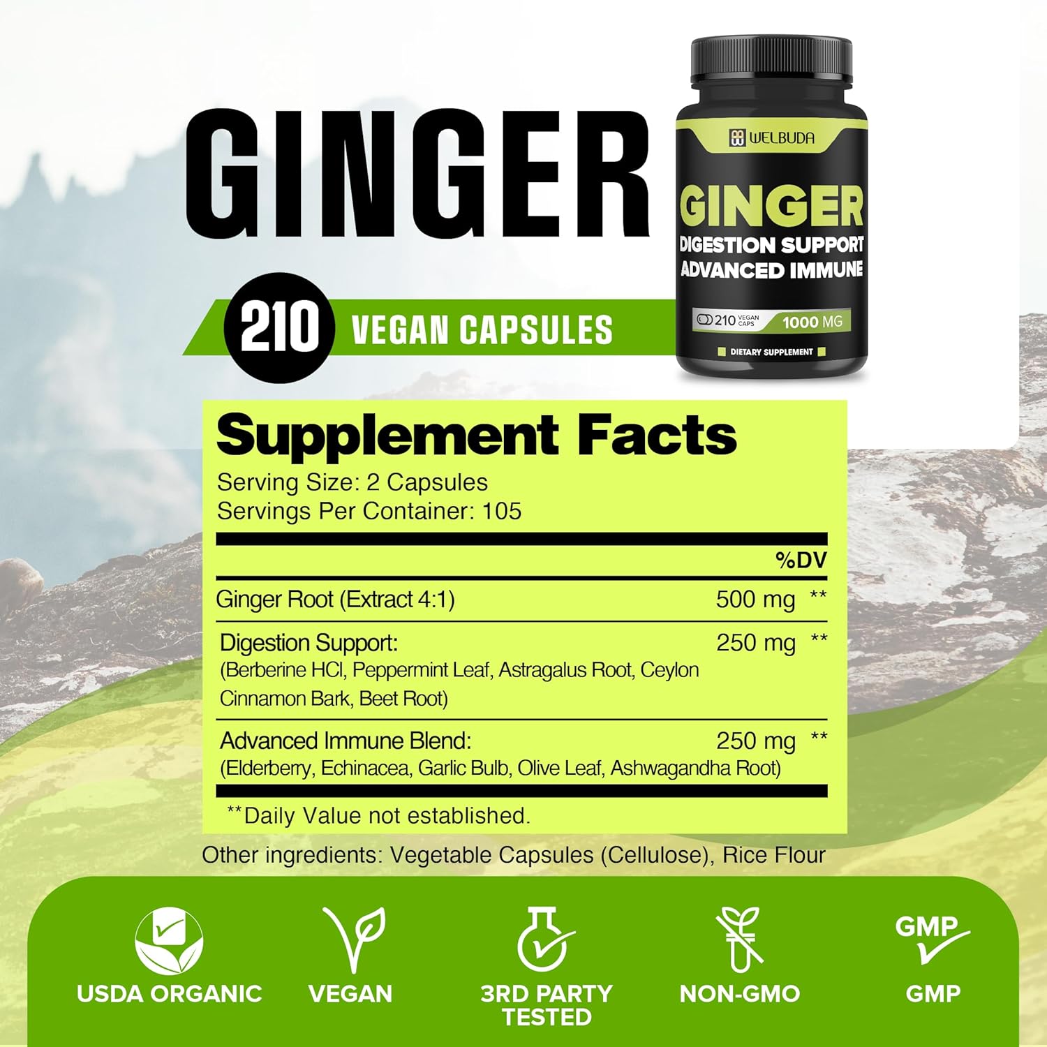 11-in-1 Ginger Supplement Capsules with Berberine HCl, Elderberry, Echinacea - Support Digestion, Joints, Immune System, Heart - 210 Pills
