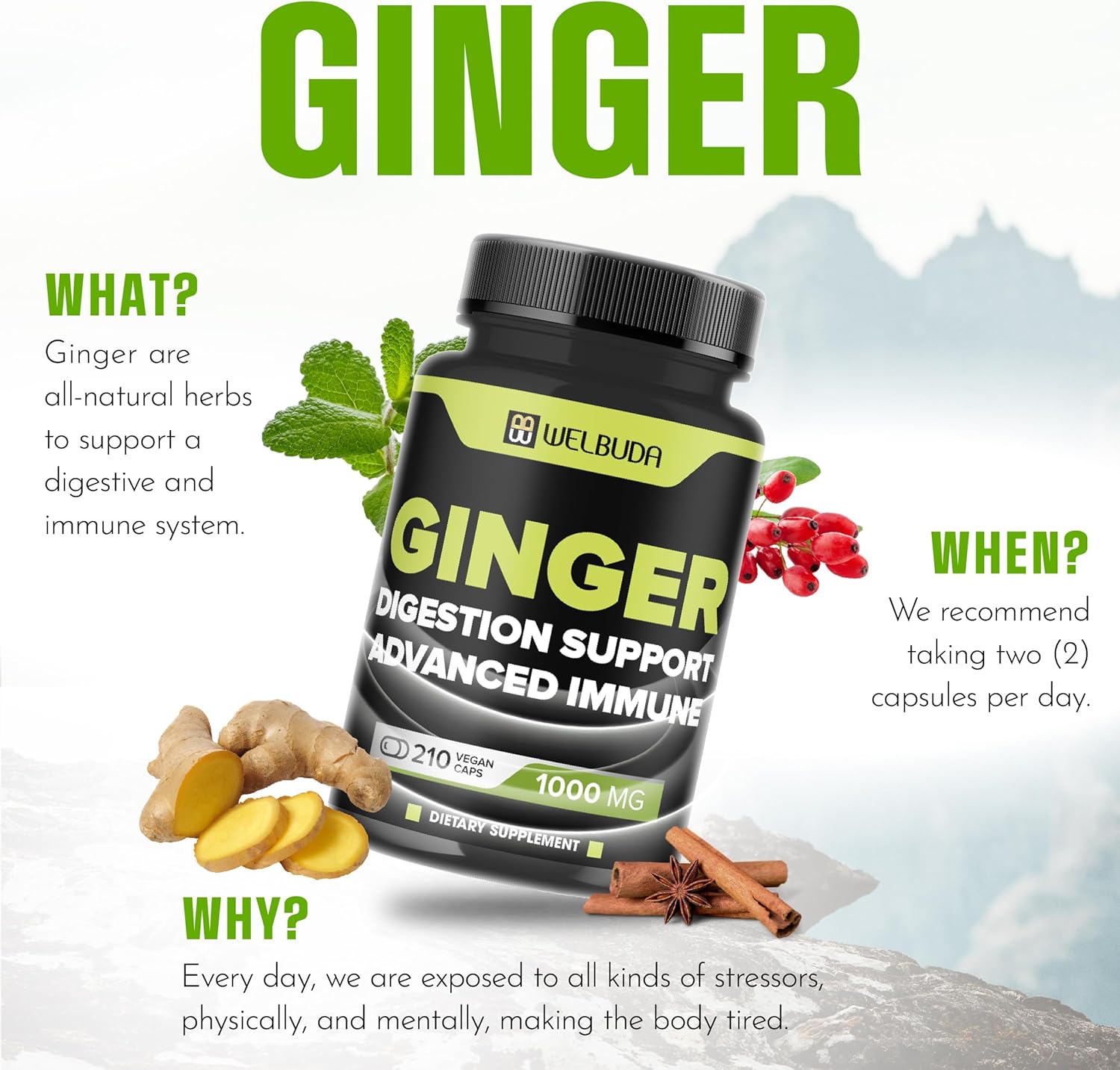 11-in-1 Ginger Supplement Capsules with Berberine HCl, Elderberry, Echinacea - Support Digestion, Joints, Immune System, Heart - 210 Pills