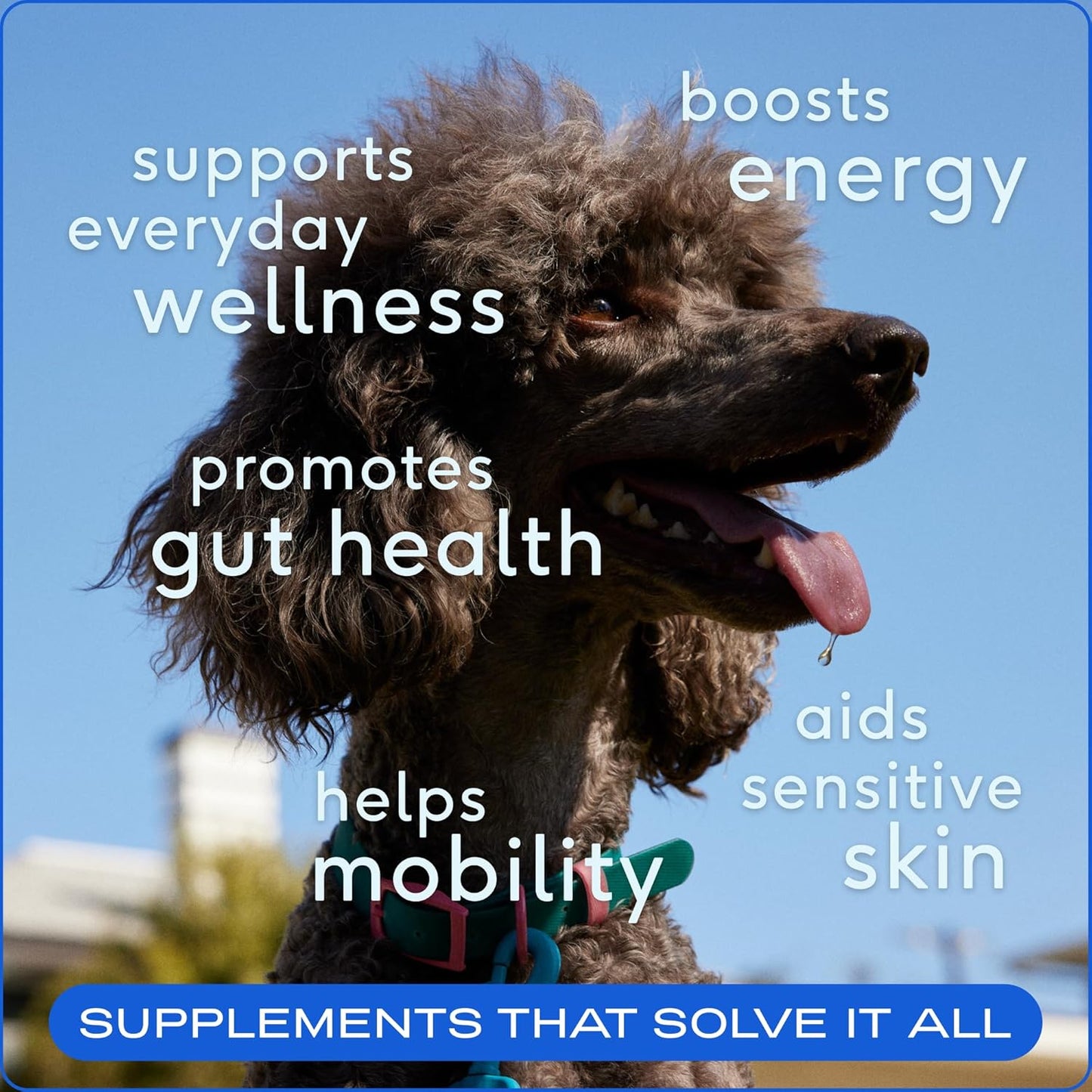11-in-1 Multivitamin Powder for Dogs - 60 Scoops of Nutrient-Rich Dog Vitamins & Supplements - Pet Health and Puppy Essentials