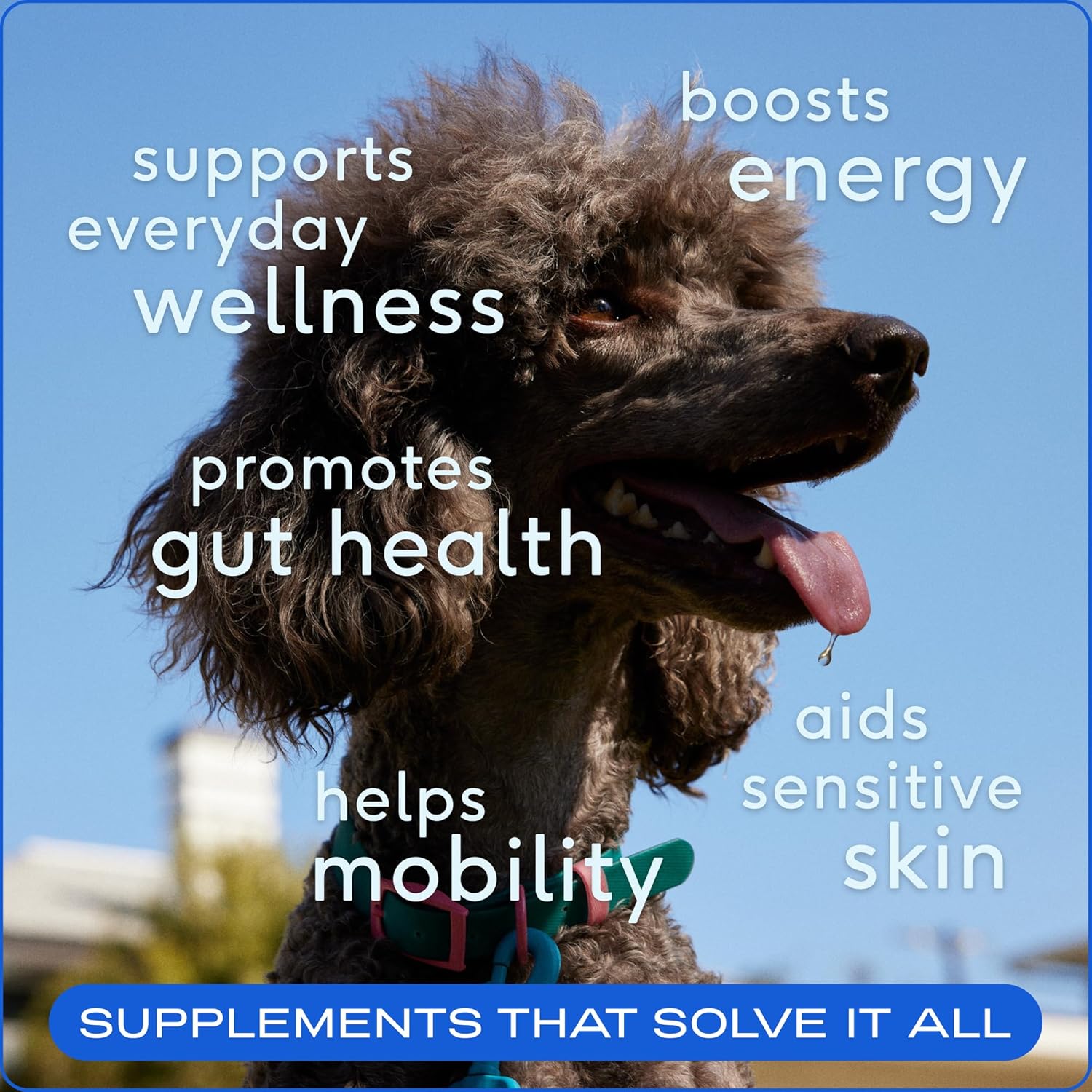11-in-1 Multivitamin Powder for Dogs - 60 Scoops of Nutrient-Rich Dog Vitamins & Supplements - Pet Health and Puppy Essentials