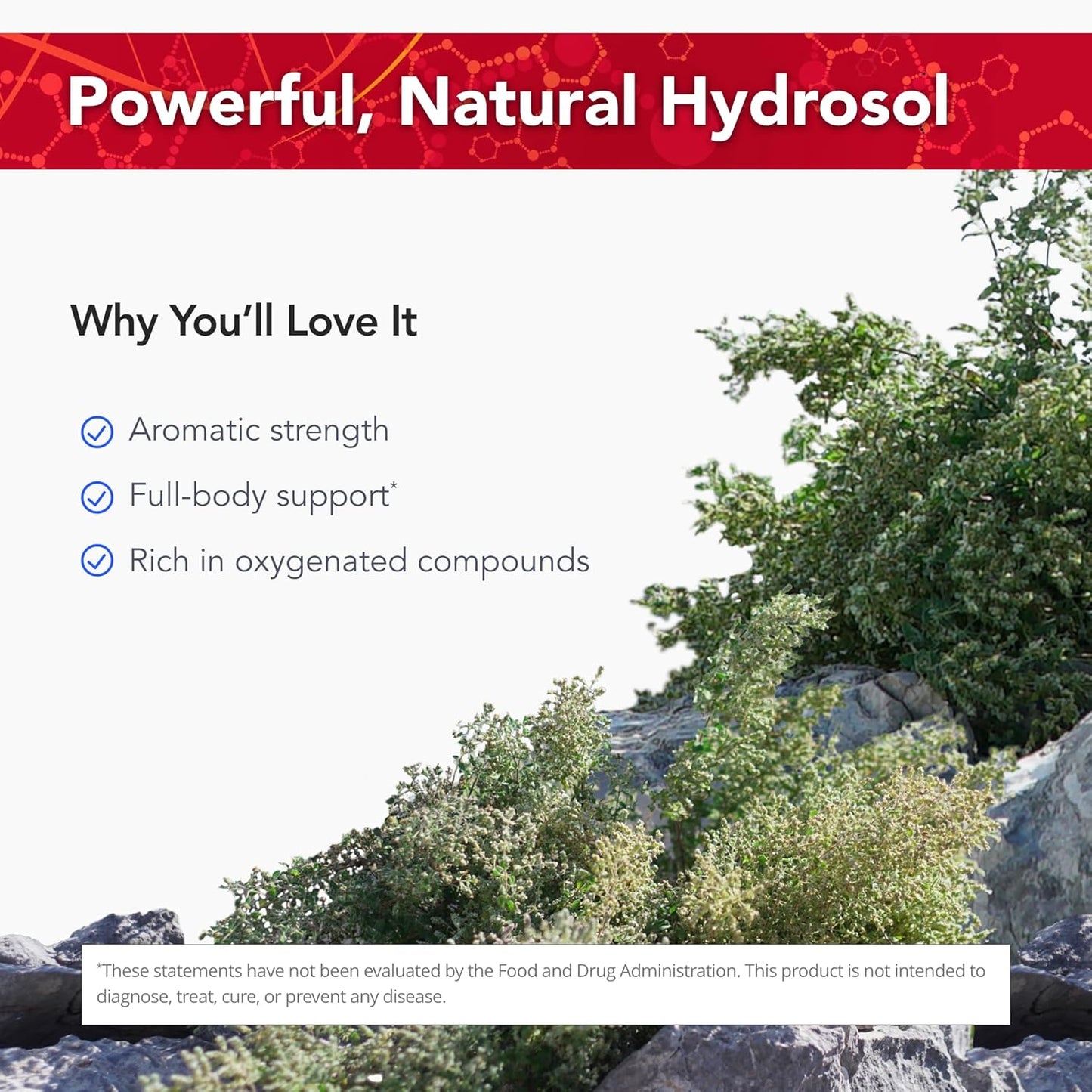 12 fl oz Physician's Strength Wild Oregano Essence Hydrosol for Oxygen Support - Non-GMO & Chemical Free - 12 Servings