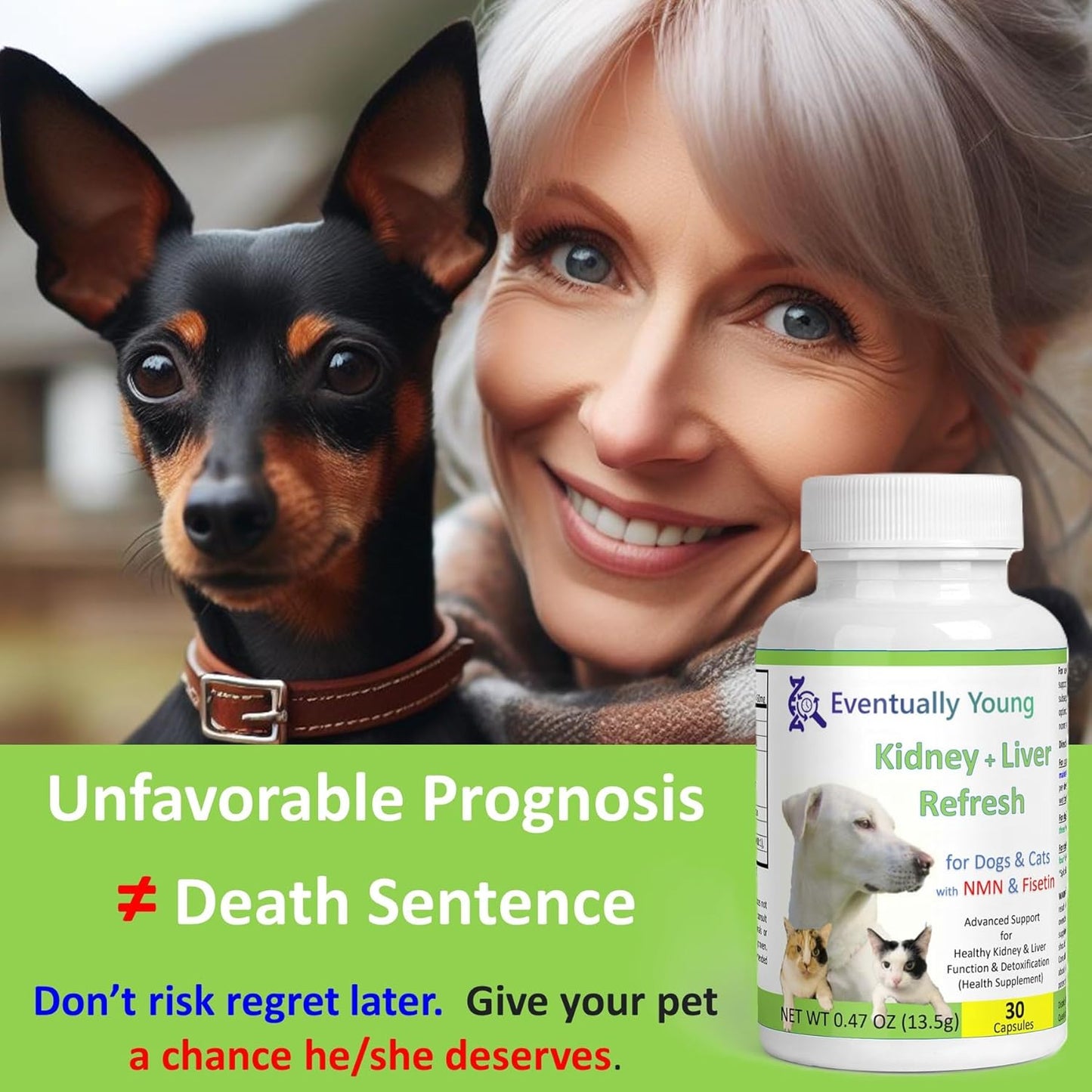 12-in-1 Kidney Support Supplement for Dogs & Cats with NMN & Fisetin - Phosphate Binder for Healthy Aging & Longevity - Liver & Kidney Health (60 Capsules)