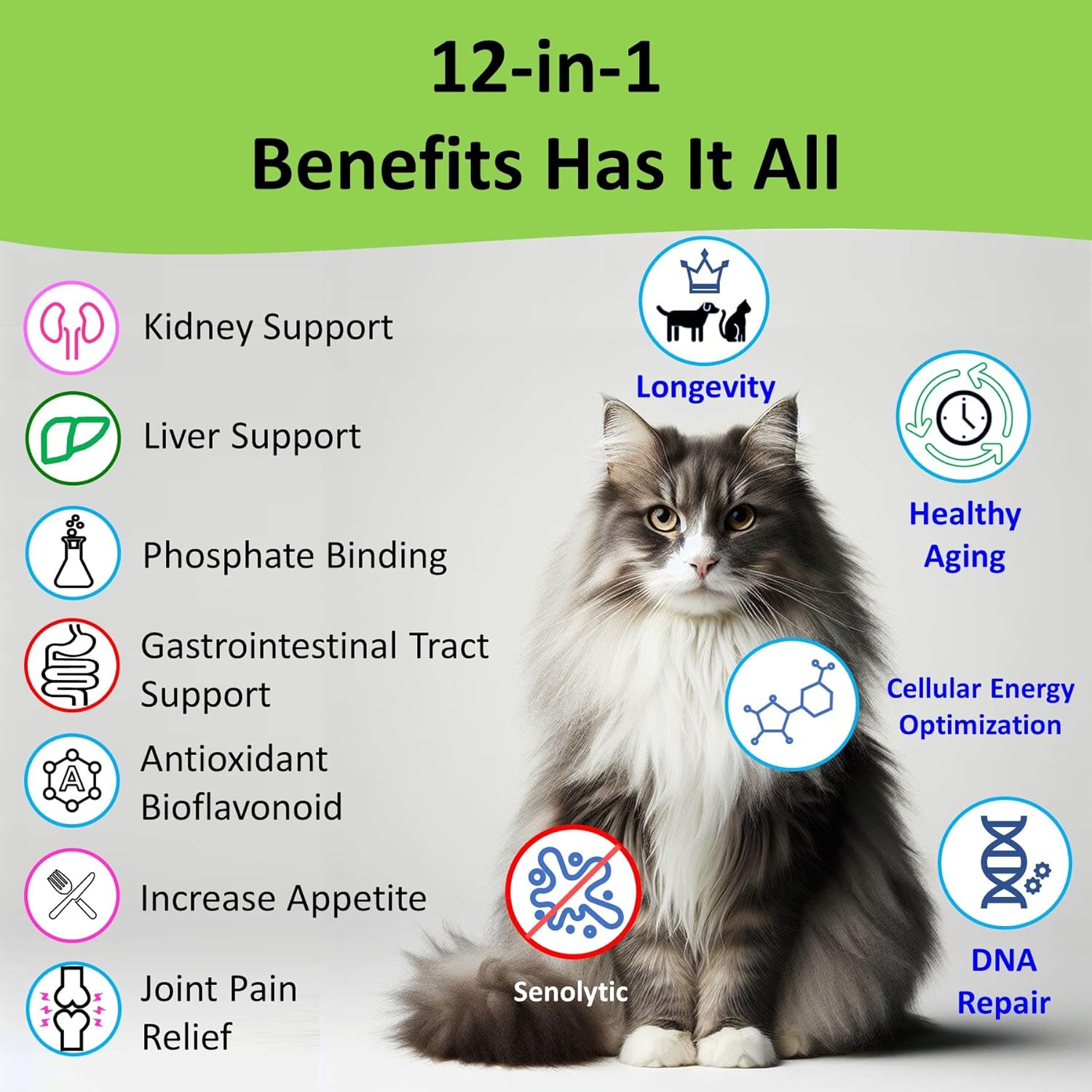 12-in-1 Kidney Support Supplement for Dogs & Cats with NMN & Fisetin - Phosphate Binder for Healthy Aging & Longevity - Liver & Kidney Health (60 Capsules)