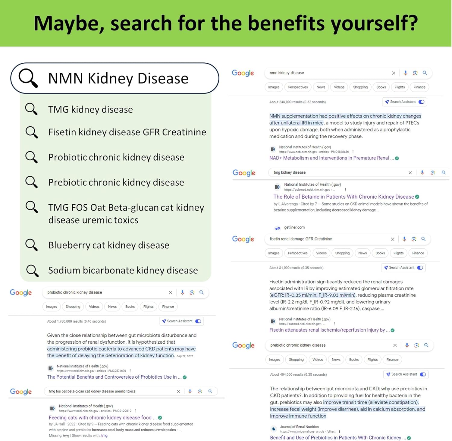 12-in-1 Kidney Support Supplement for Dogs & Cats with NMN & Fisetin - Phosphate Binder for Healthy Aging & Longevity - Liver & Kidney Health (60 Capsules)