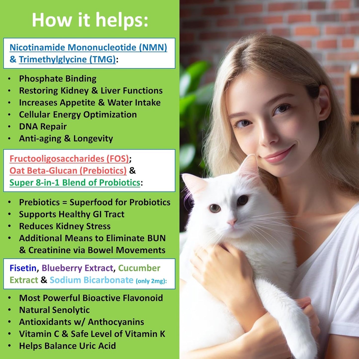 12-in-1 Kidney Support Supplement for Dogs & Cats with NMN & Fisetin - Phosphate Binder for Healthy Aging & Longevity - Liver & Kidney Health (60 Capsules)