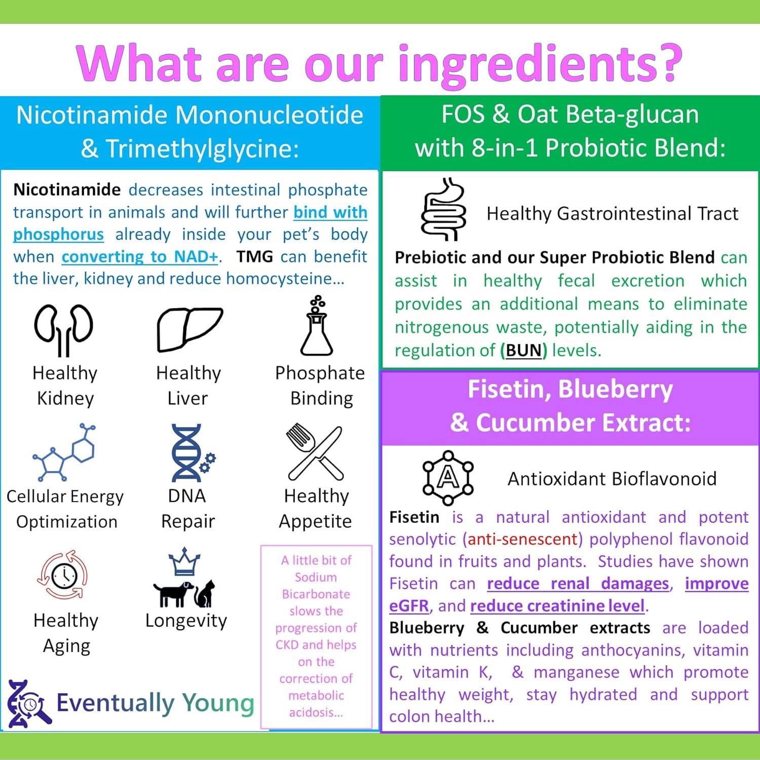 12-in-1 Kidney Support Supplement for Dogs & Cats with NMN & Fisetin - Phosphate Binder for Healthy Aging & Longevity - Liver & Kidney Health (60 Capsules)