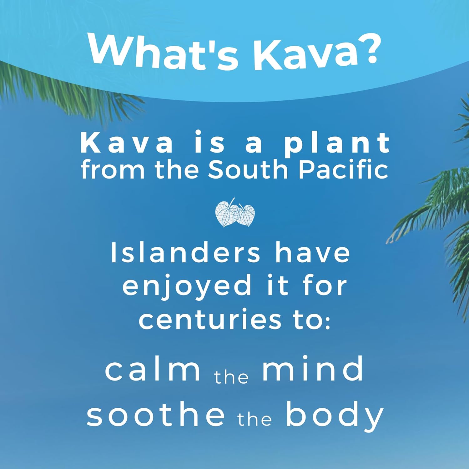 12 Pack Leilo Lite "Piña Colada" Mocktail - Sugar Free, Non-Alcoholic Relaxation Drink with Kava - Natural & Gluten Free - 12 oz, Packaging Varies