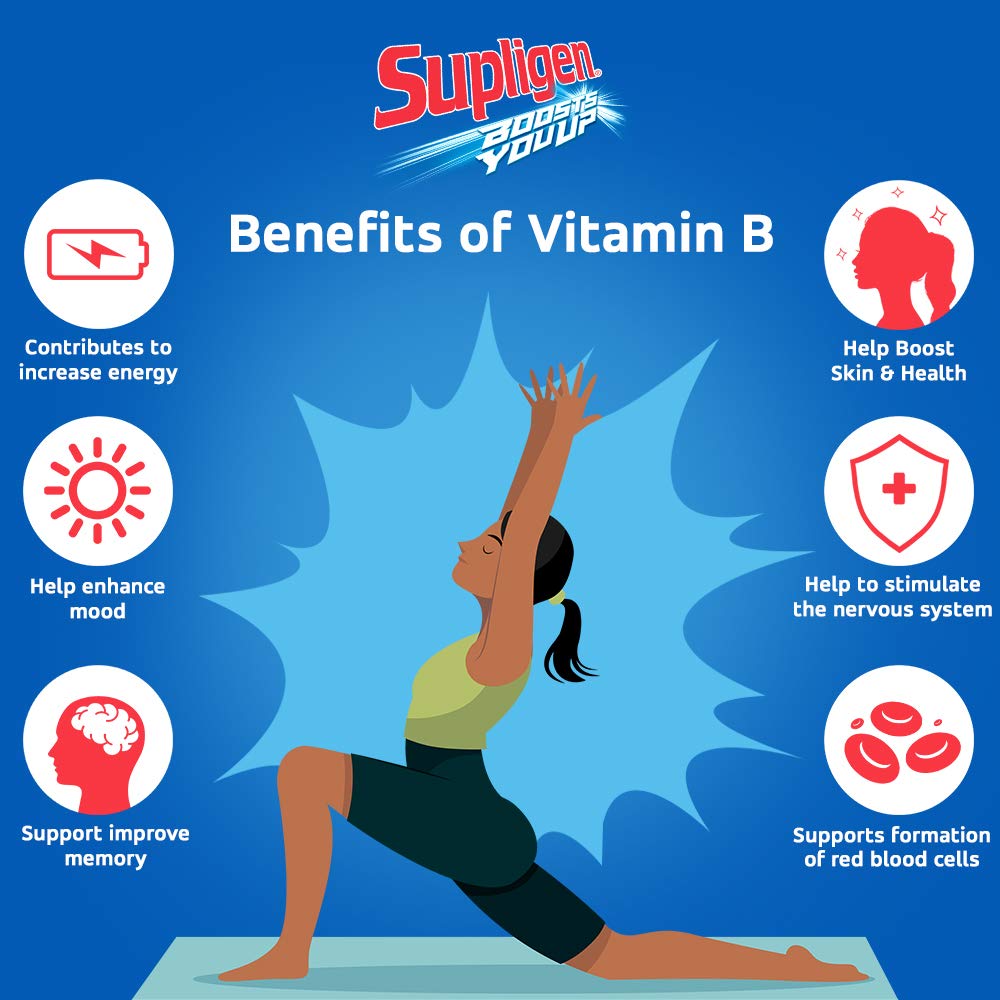 12 Pack Supligen Chocolate Liquid Meal Supplement for Strength and Energy, 9.87 oz