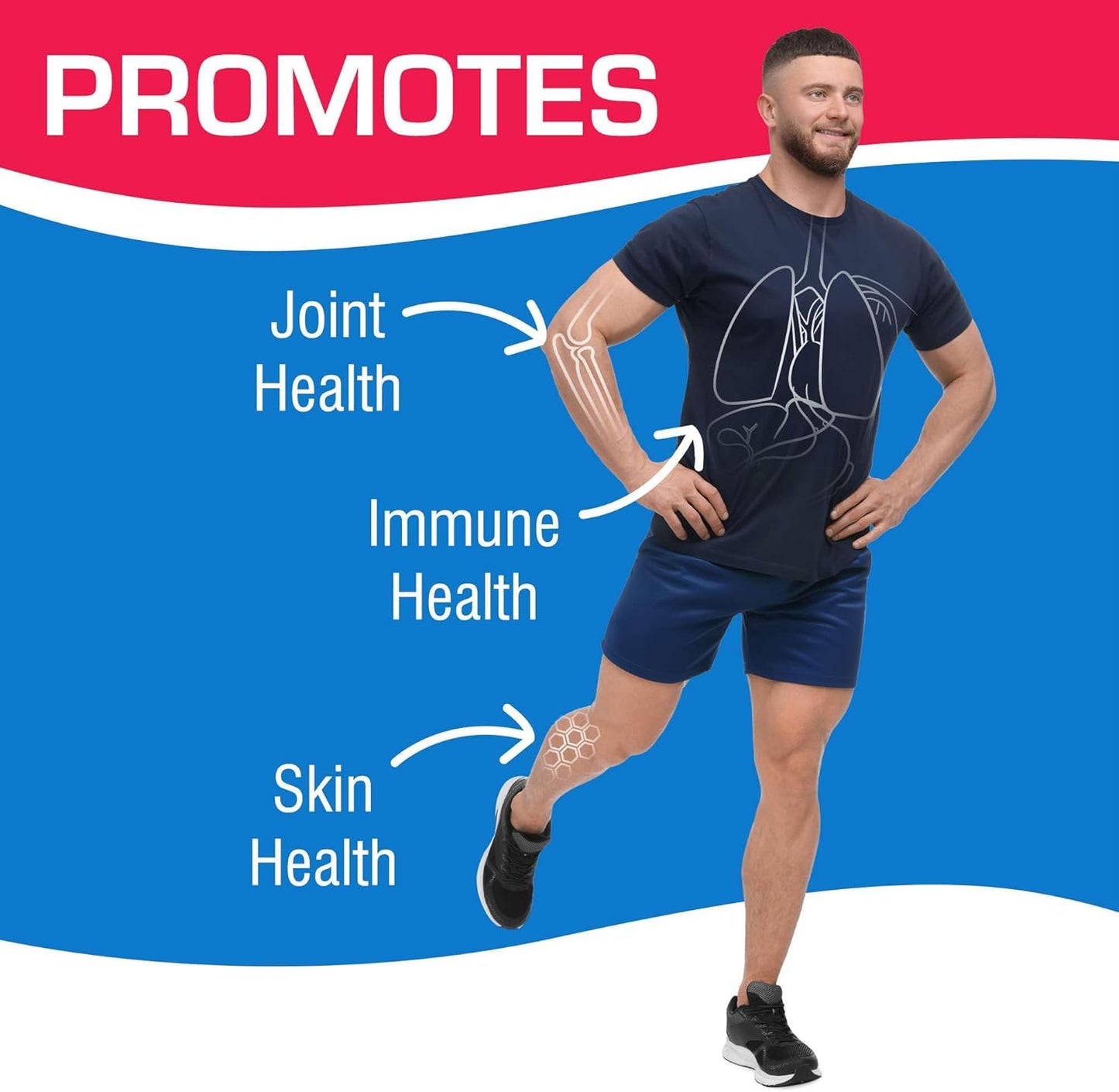 120 Anabolic Laboratories MSM Tablets - 1000mg Vegetarian Supplements for Healthy Joints and Skin with OptiMSM