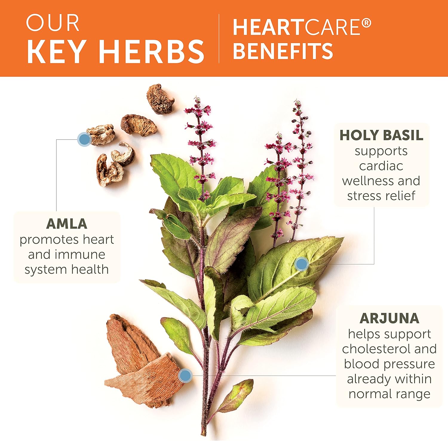 120 Capsules of Himalaya HeartCare 720mg for Daily Wellness - 1 Month Supply