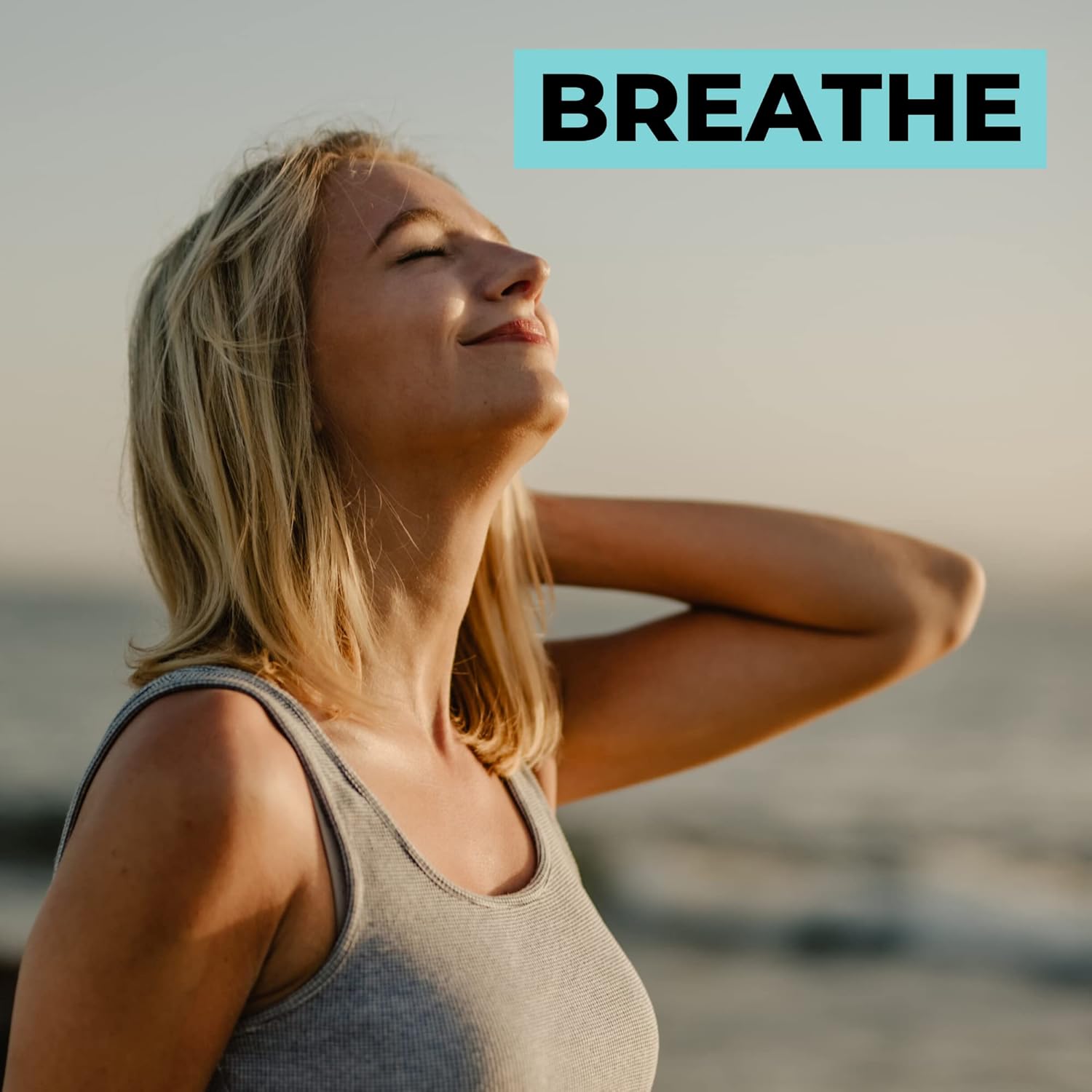 120 Capsules of Ko & Co's Dandy Decor Nurture Nutri Organic Sea Moss Complex - Irish Sea Moss and Bladderwrack Supplement