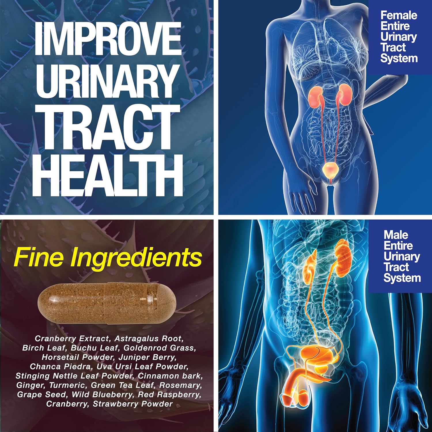 120 Capsules of Saint Mingiano Kidney Support Cleanse Detox & Repair + 15 Day Colon Detox with Natural Laxative