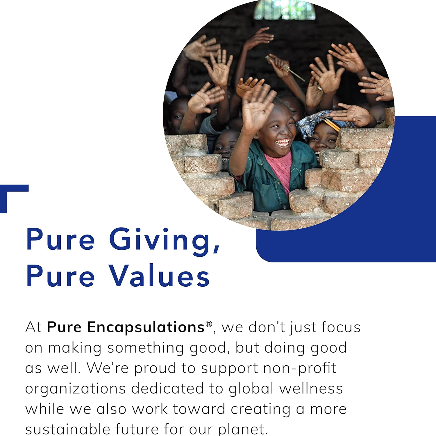 120 Capsules Pure Encapsulations Antioxidant Formula for Comprehensive Antioxidant Support