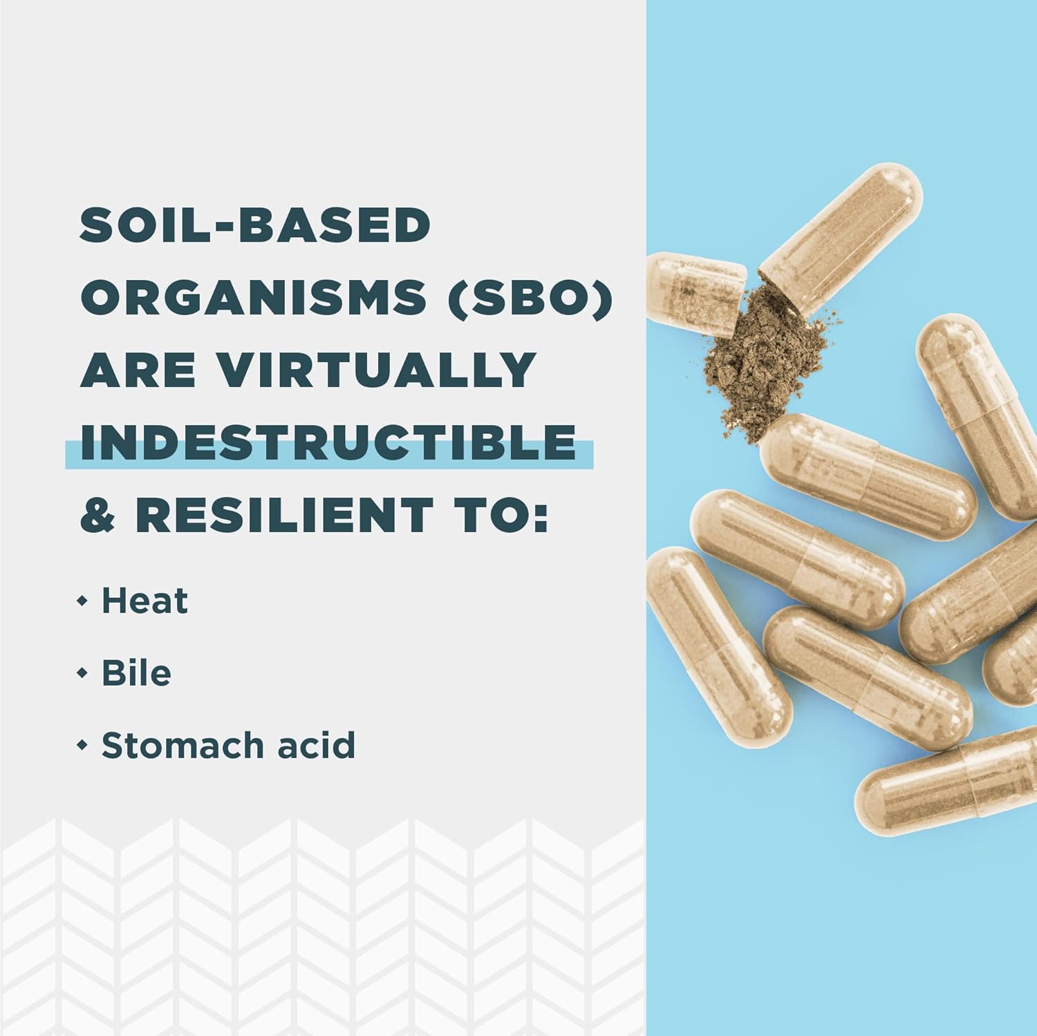 120 Count Ancient Nutrition SBO Gut Restore & Leaky Gut Probiotic Capsules