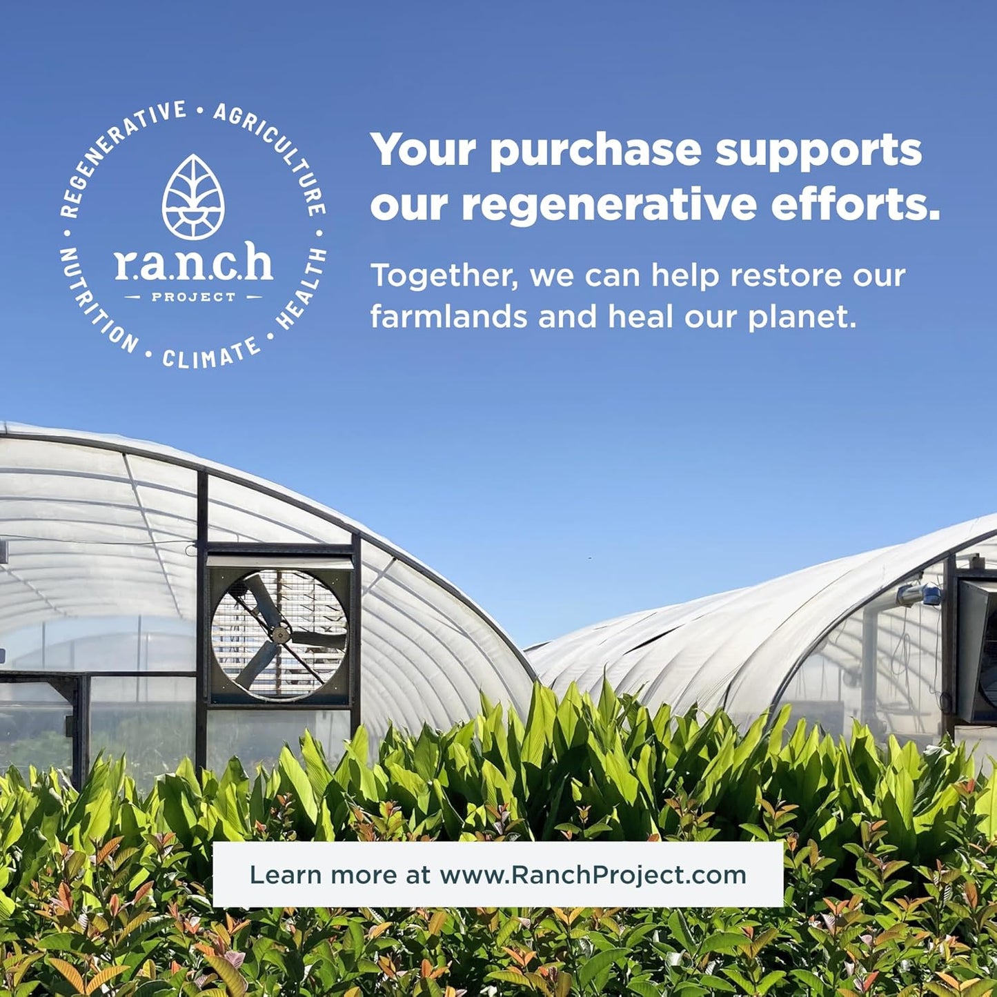 120 Count Ancient Nutrition SBO Gut Restore & Leaky Gut Probiotic Capsules