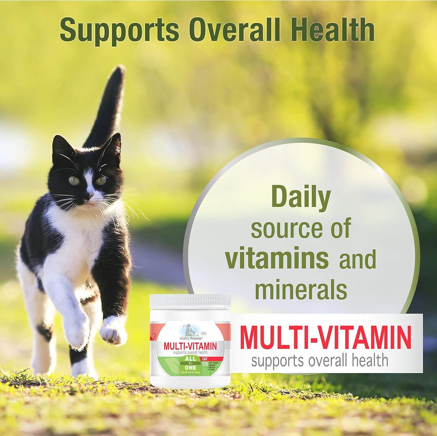 120 Count Four Paws Healthy Promise Cat Multivitamin Soft Chews - Essential Daily Nutrients for Cats