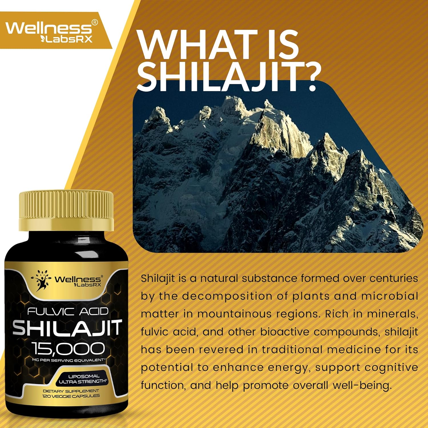 120 Count Himalayan Shilajit Capsules for Men and Women - 1500mg Pure Shilajit Supplement with Fulvic Acid for Energy and Immune Support by WELLNESS LABSRX