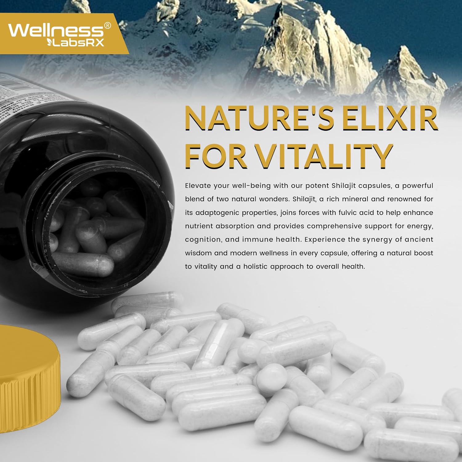 120 Count Himalayan Shilajit Capsules for Men and Women - 1500mg Pure Shilajit Supplement with Fulvic Acid for Energy and Immune Support by WELLNESS LABSRX