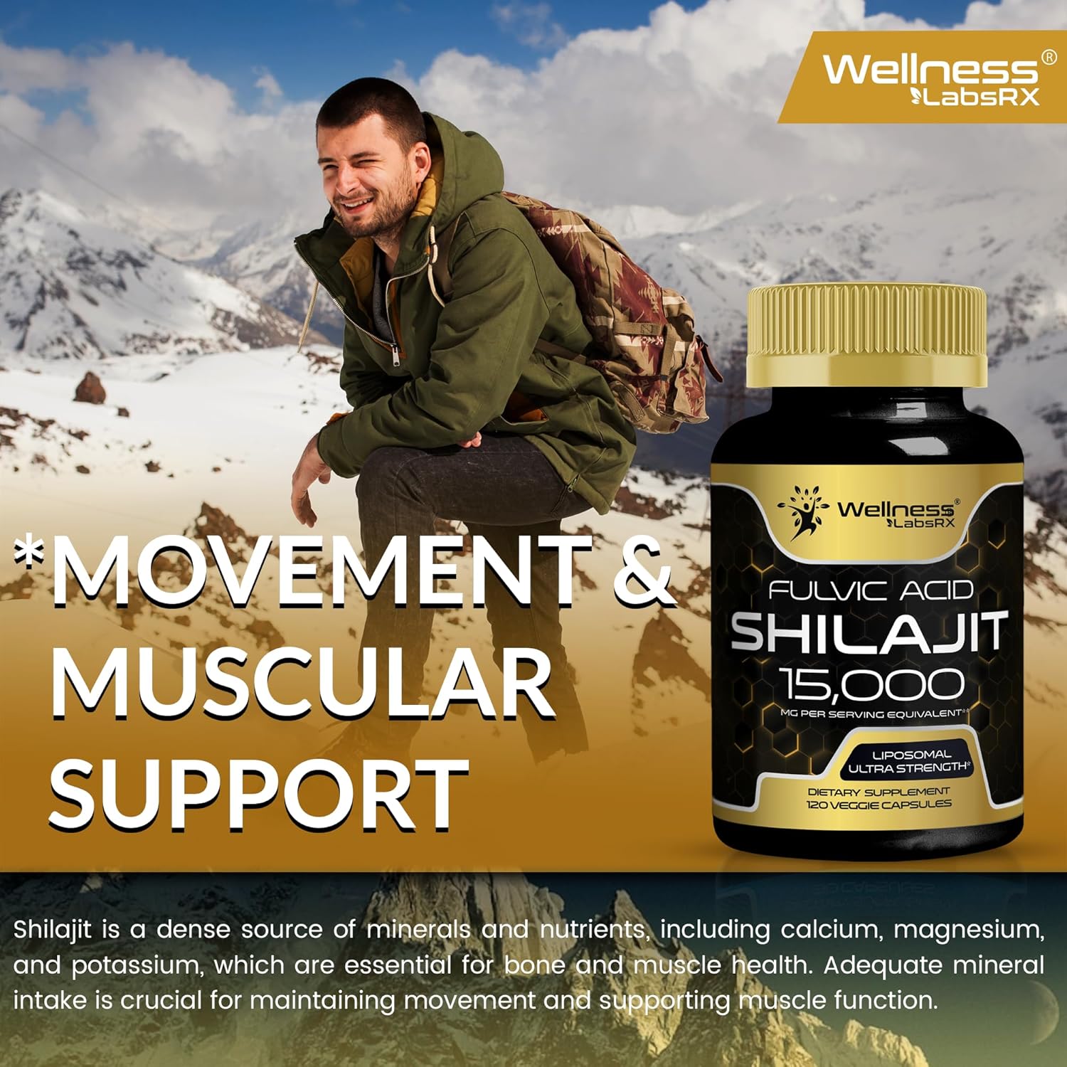120 Count Himalayan Shilajit Capsules for Men and Women - 1500mg Pure Shilajit Supplement with Fulvic Acid for Energy and Immune Support by WELLNESS LABSRX