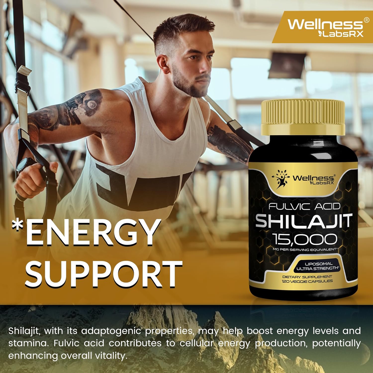 120 Count Himalayan Shilajit Capsules for Men and Women - 1500mg Pure Shilajit Supplement with Fulvic Acid for Energy and Immune Support by WELLNESS LABSRX