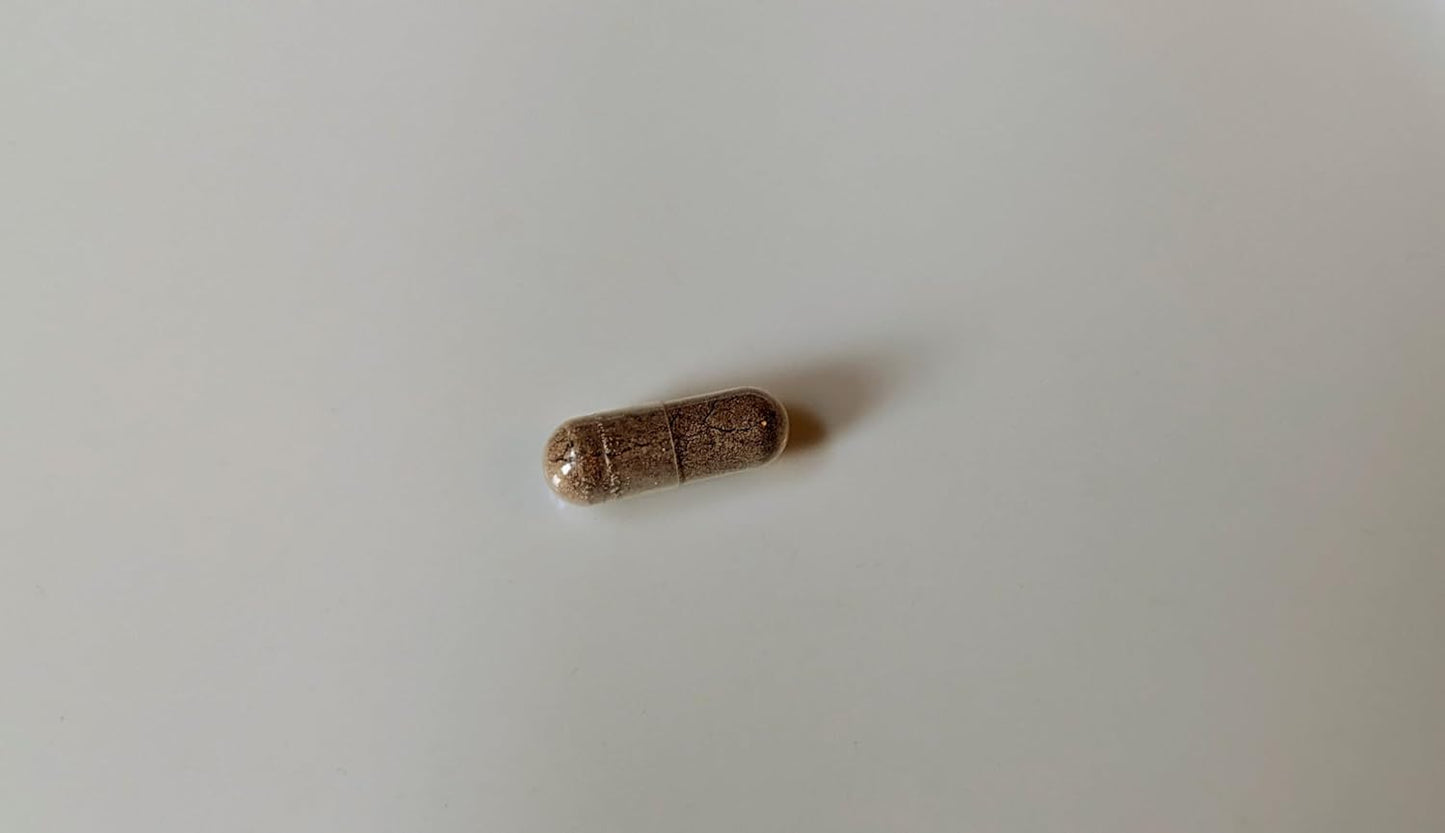 120 Count Mullein 10:1 Extract Capsules - Gluten Free & Non-GMO - Vitalité Now! Extra Strength