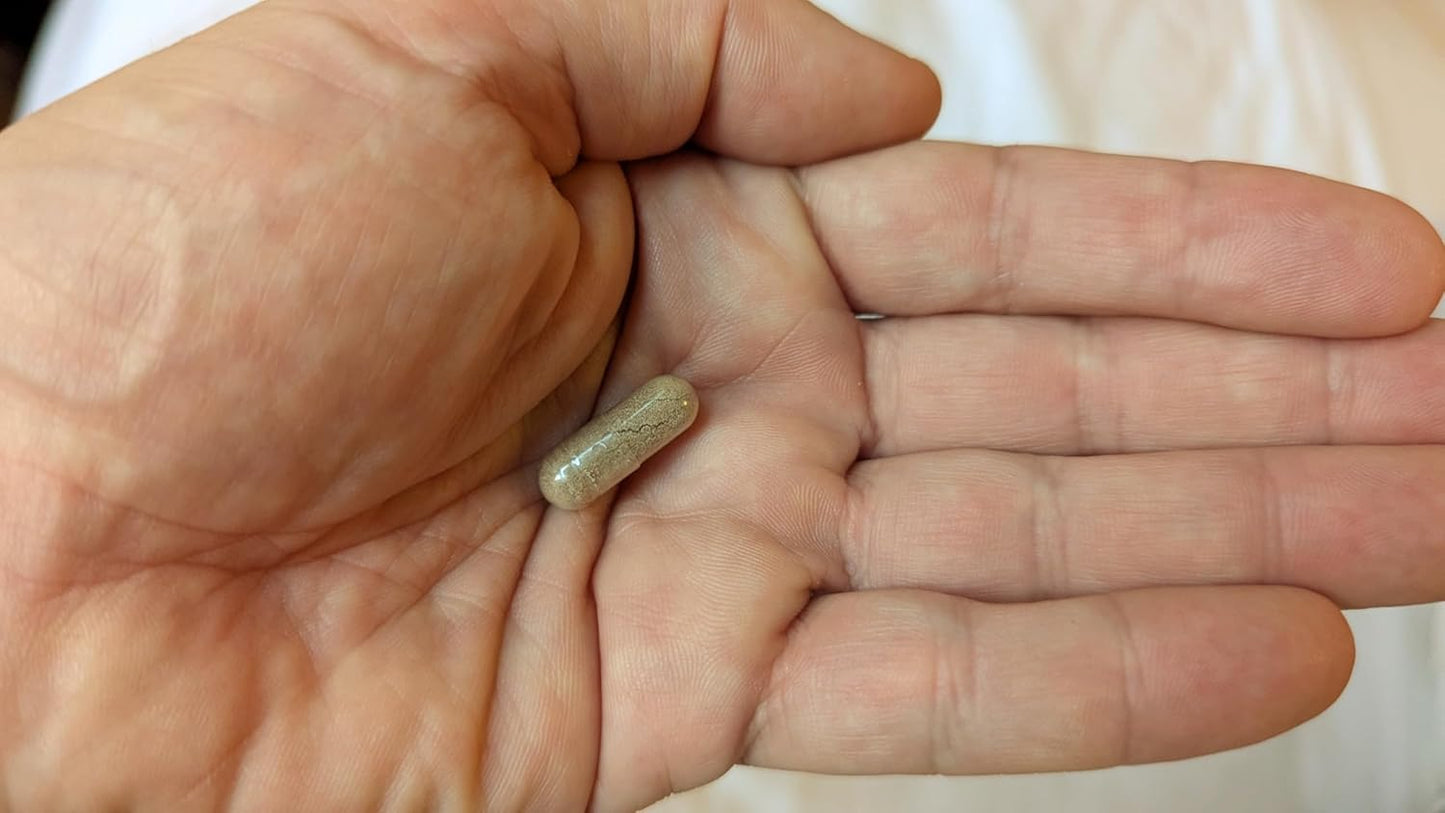 120 Count Mullein 10:1 Extract Capsules - Gluten Free & Non-GMO - Vitalité Now! Extra Strength