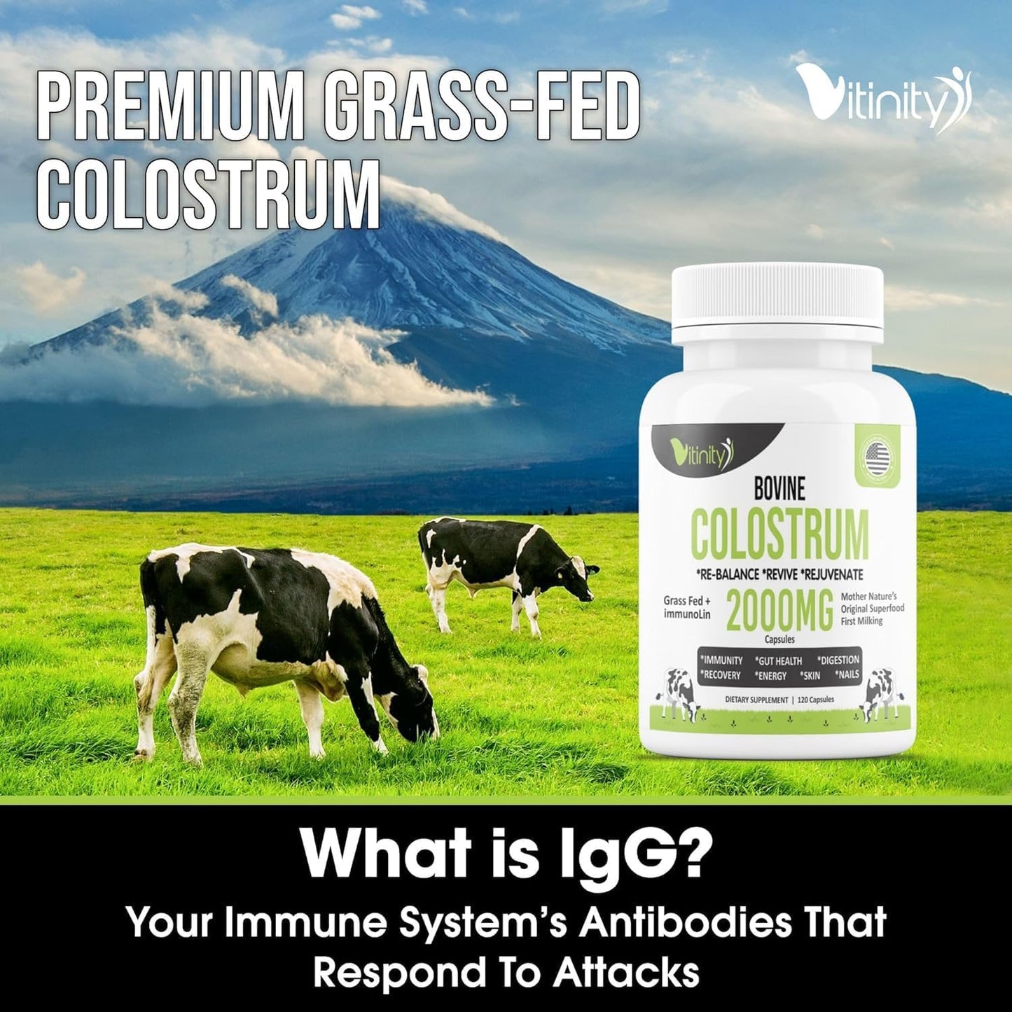 120 Grass Fed Bovine Colostrum Capsules for Gut Health, Immune Support, Muscle Recovery & Wellness - Natural IgG Supplement for Humans | Pure Colostrum Superfood, Unflavored