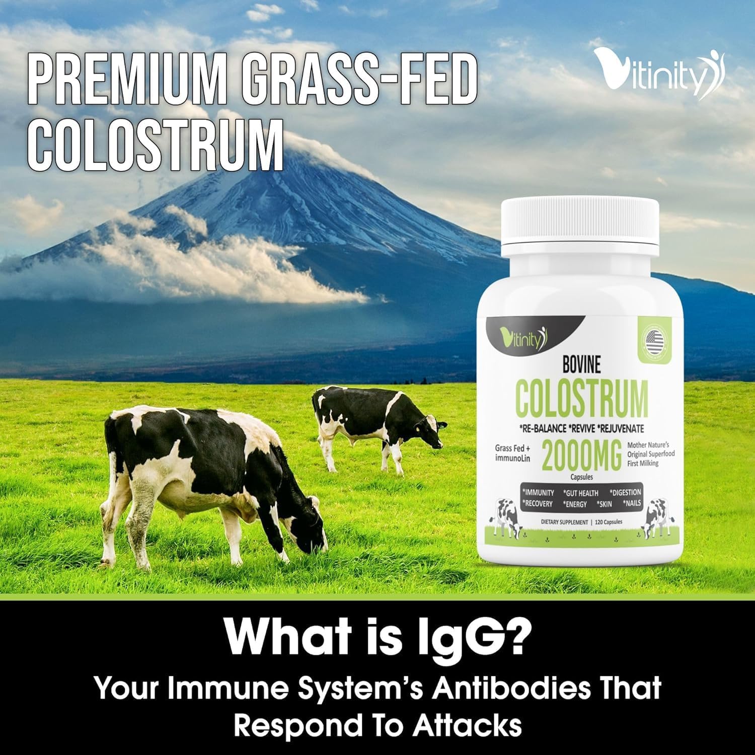 120 Grass Fed Bovine Colostrum Capsules for Gut Health, Immune Support, Muscle Recovery & Wellness - Natural IgG Supplement for Humans | Pure Colostrum Superfood, Unflavored