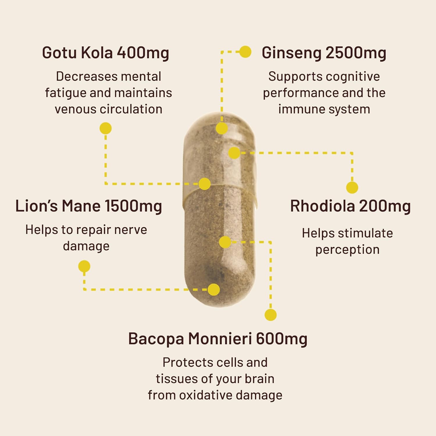 120 Lions Mane Mushroom Nootropic Brain Support + 60 Vegan Vitamin D3 + K2 Bundle for Brain & Body Balance