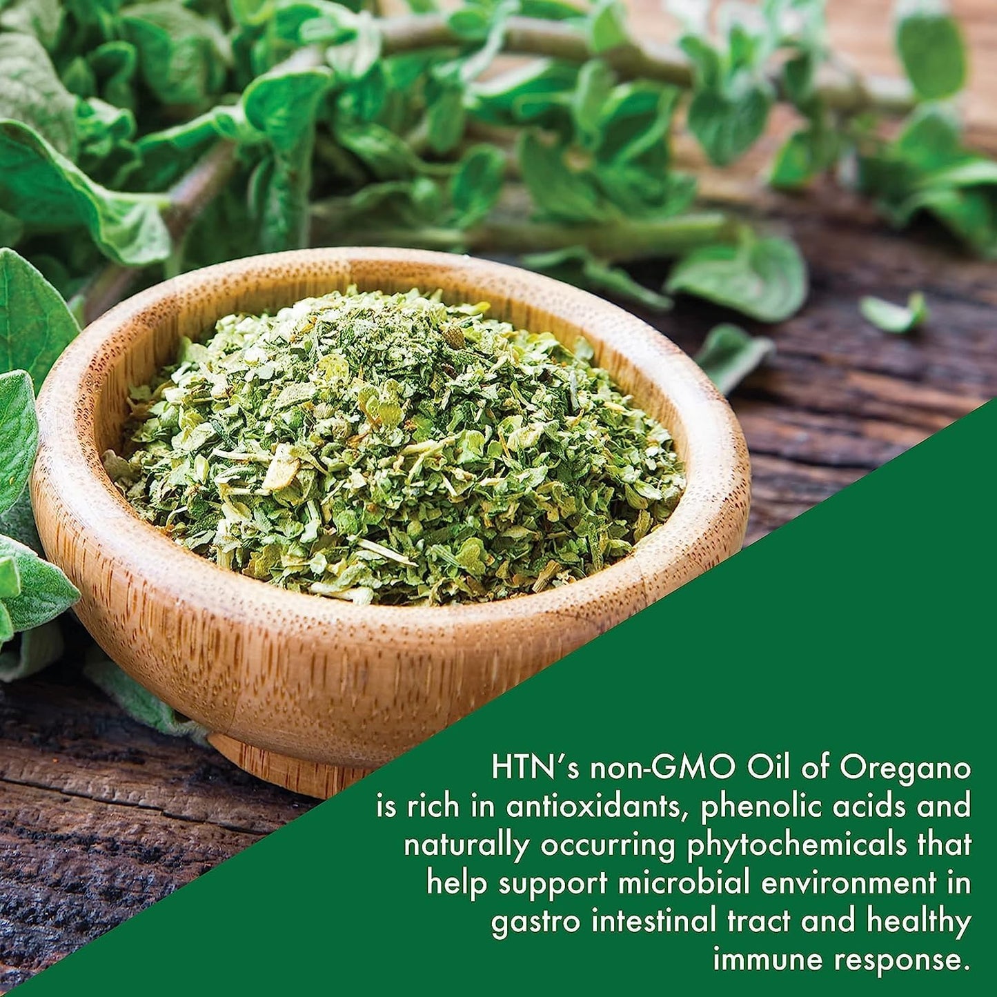 120 Mini-Softgels of European Wild Harvested Oil of Oregano - 40:1 Origanum Vulgare Equivalent to 600mg - Non-GMO Gluten Free by Health Thru Nutrition