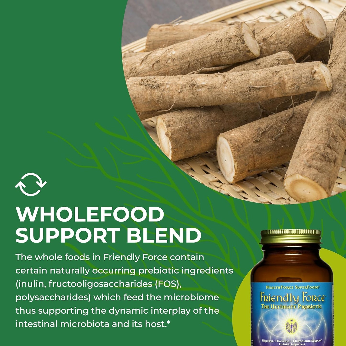 120 Vegan Capsules of HealthForce SuperFoods Friendly Force - Plant-Based Probiotic Formula