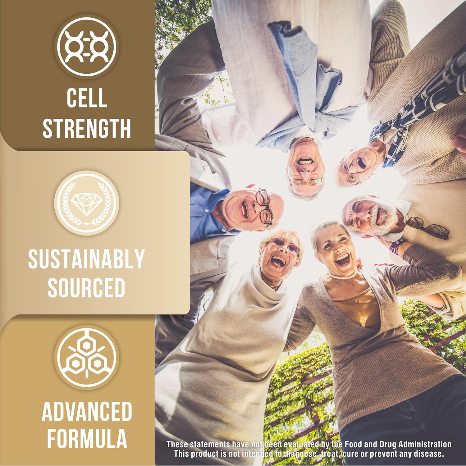 120 Vegetable Capsules of TruQuest Nutrition Premium Fucoidan Extract Immunity Supplement with Pure Mozuku and Mekabu Algae - Boost Health