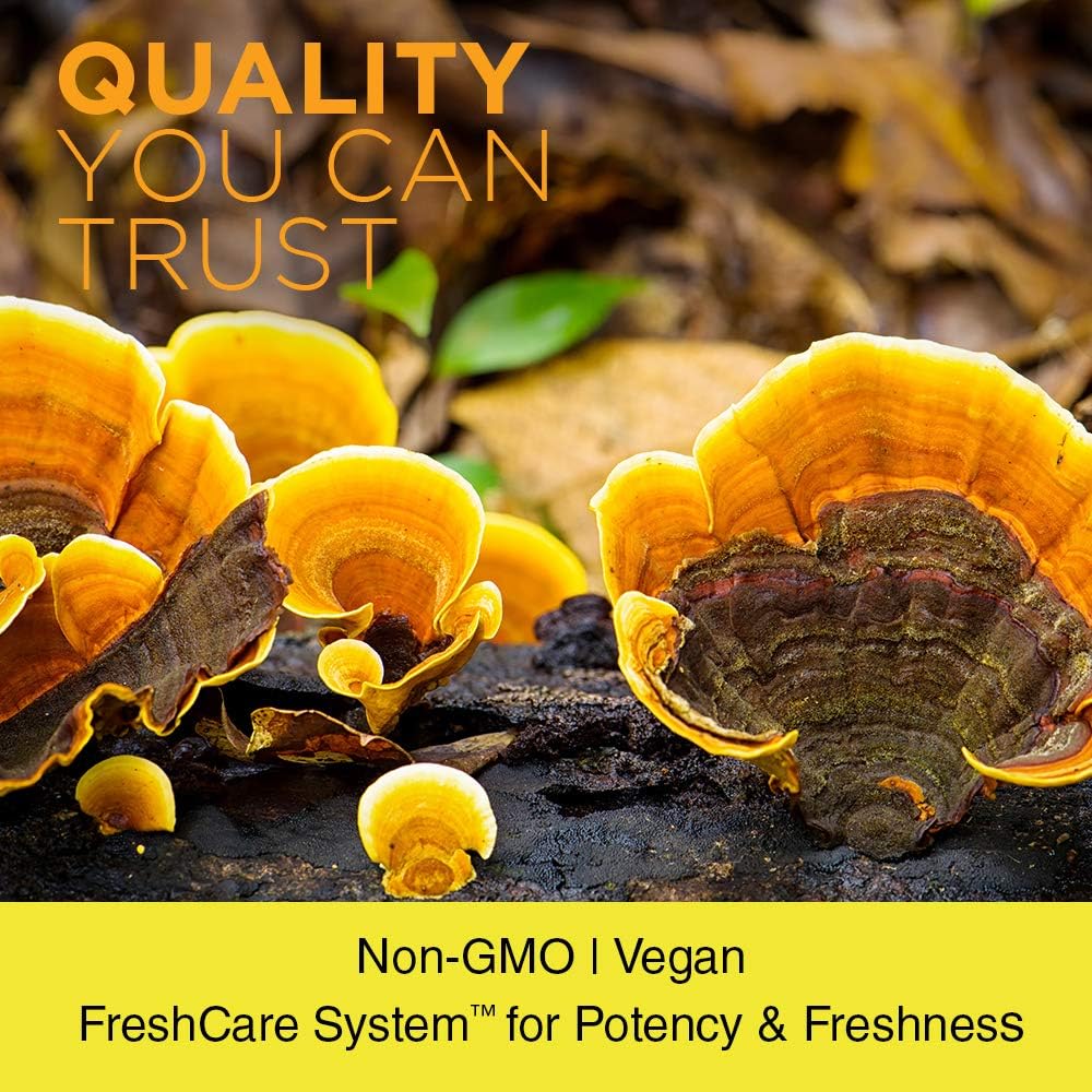 1200mg Reishi Mushroom Capsules for Immune Function, Energy & Mood Support - Non-GMO & Lab Verified - 100 Vegetarian Capsules